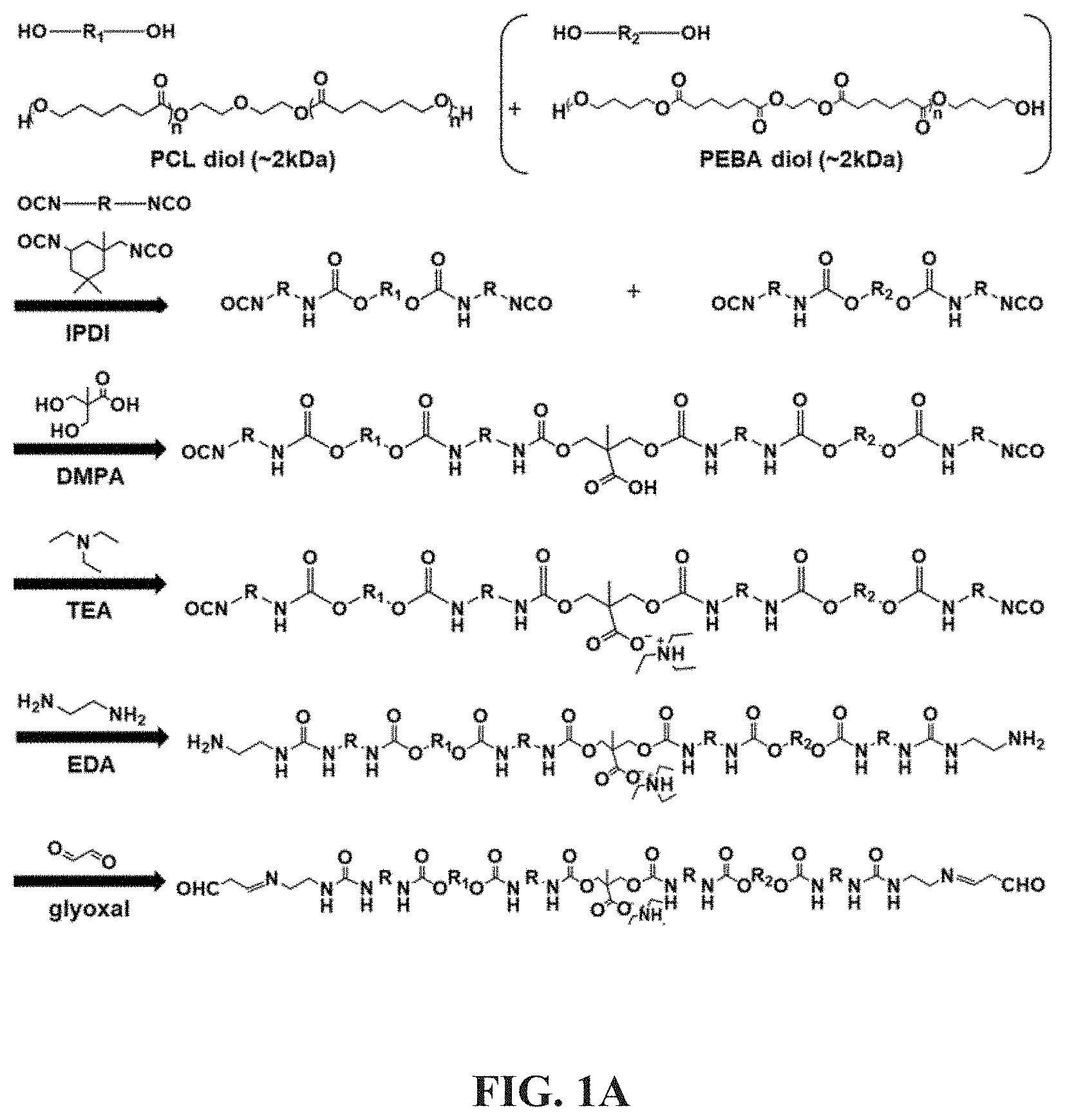 Patent US11773205 Figure 1 – Crosslinking agent, preparation process and uses thereof, hydrogel and biodegradable cryogel comprising crosslinking agent