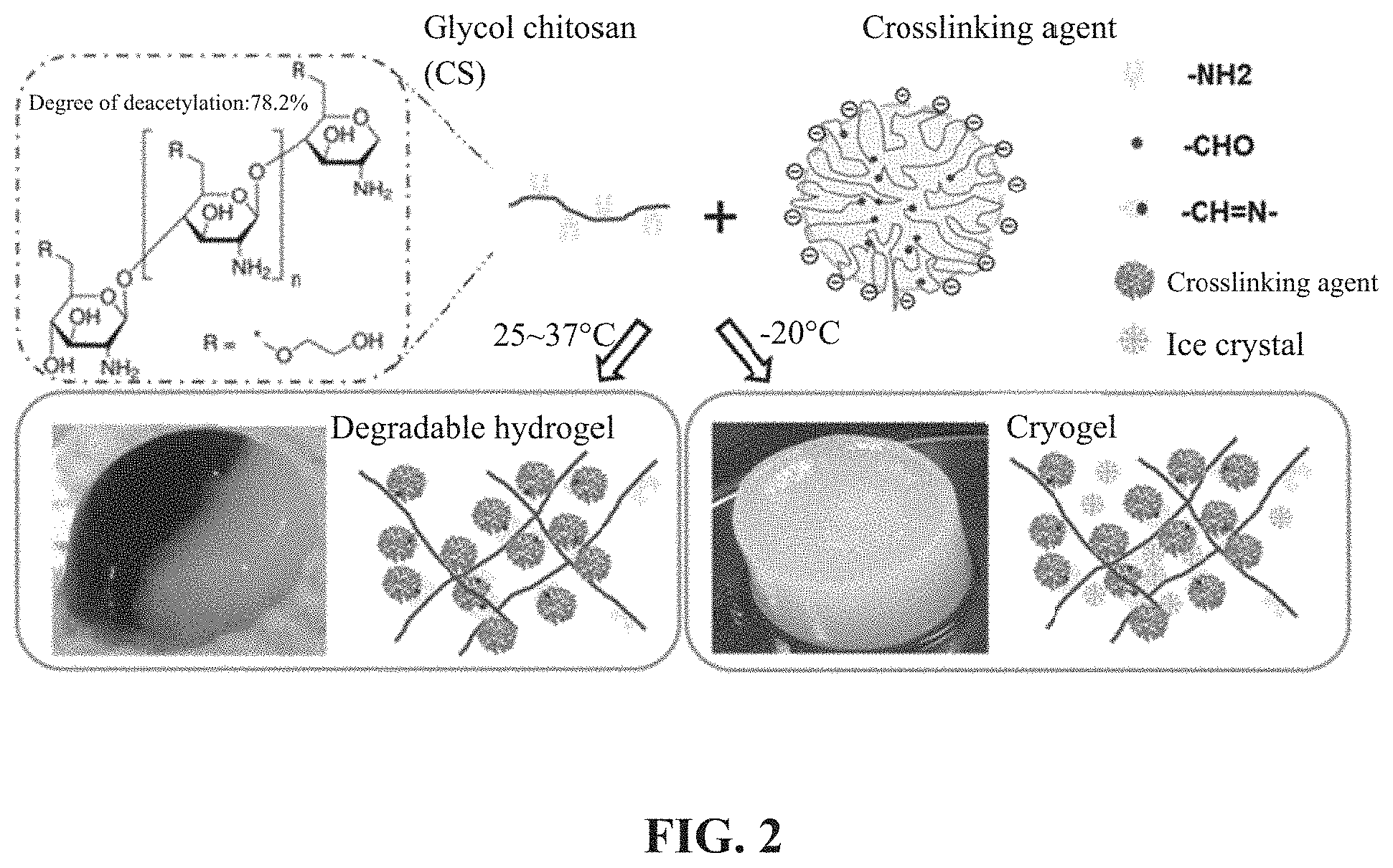 Patent US11773205 Figure 3 – Crosslinking agent, preparation process and uses thereof, hydrogel and biodegradable cryogel comprising crosslinking agent