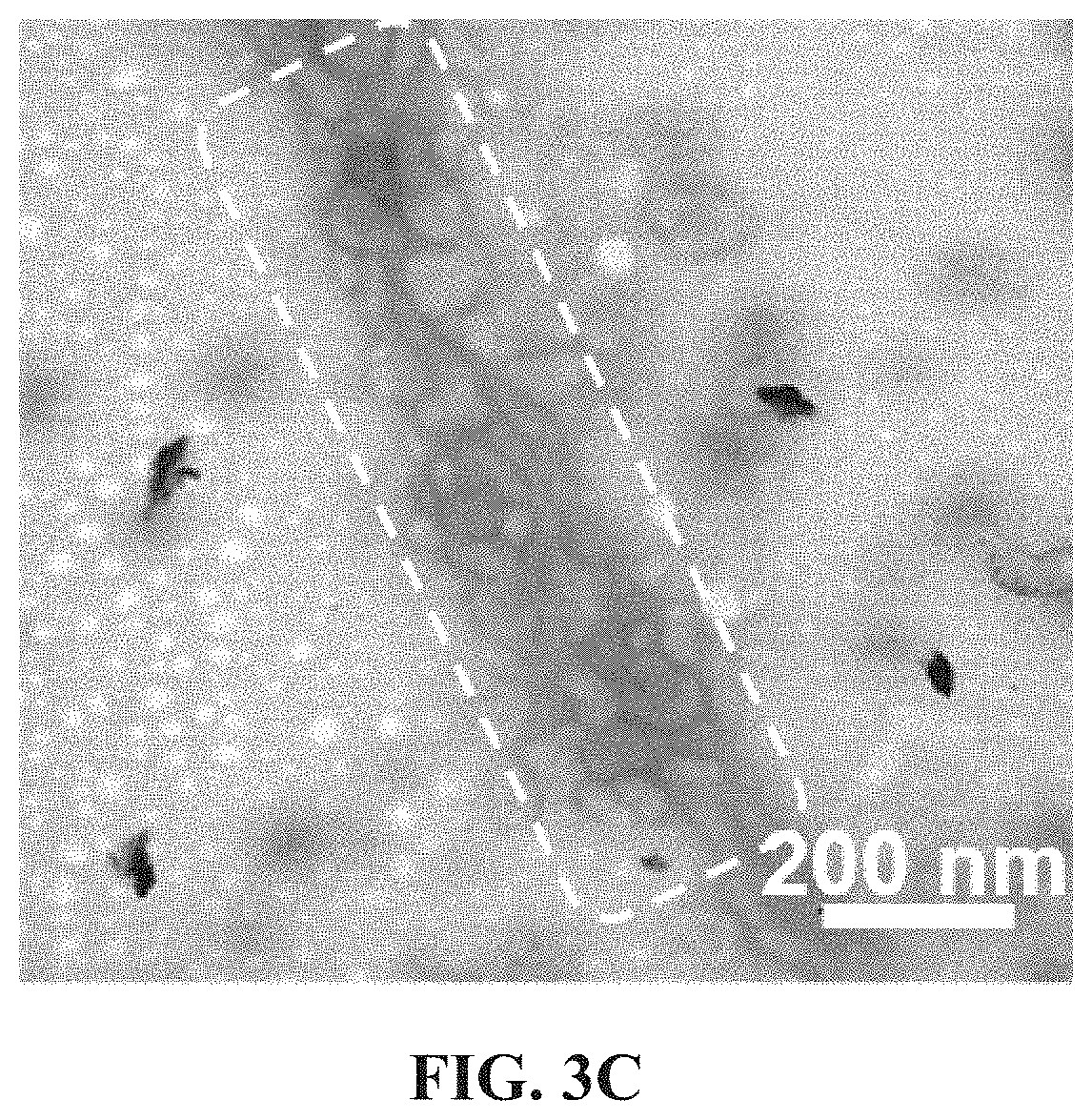 Patent US11773205 Figure 5 – Crosslinking agent, preparation process and uses thereof, hydrogel and biodegradable cryogel comprising crosslinking agent