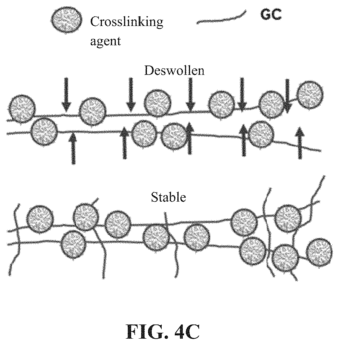 Patent US11773205 Figure 7 – Crosslinking agent, preparation process and uses thereof, hydrogel and biodegradable cryogel comprising crosslinking agent