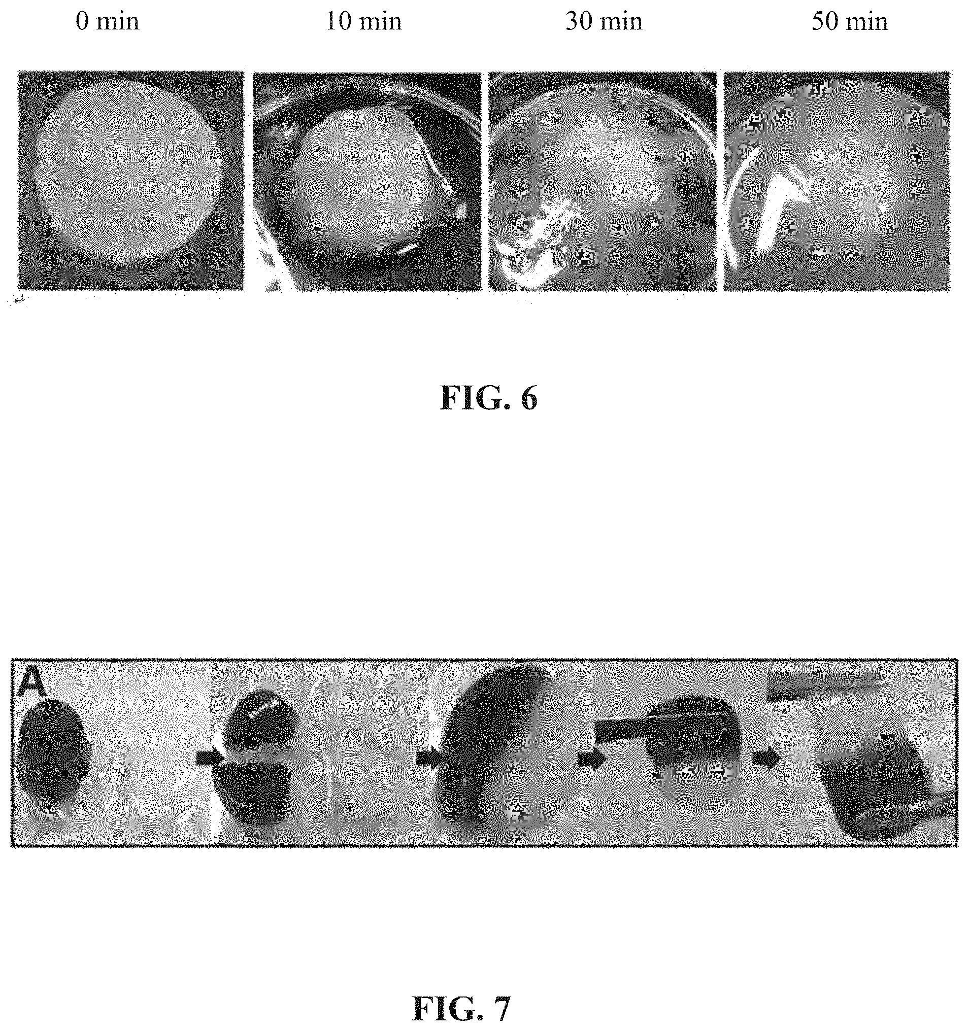 Patent US11773205 Figure 9 – Crosslinking agent, preparation process and uses thereof, hydrogel and biodegradable cryogel comprising crosslinking agent
