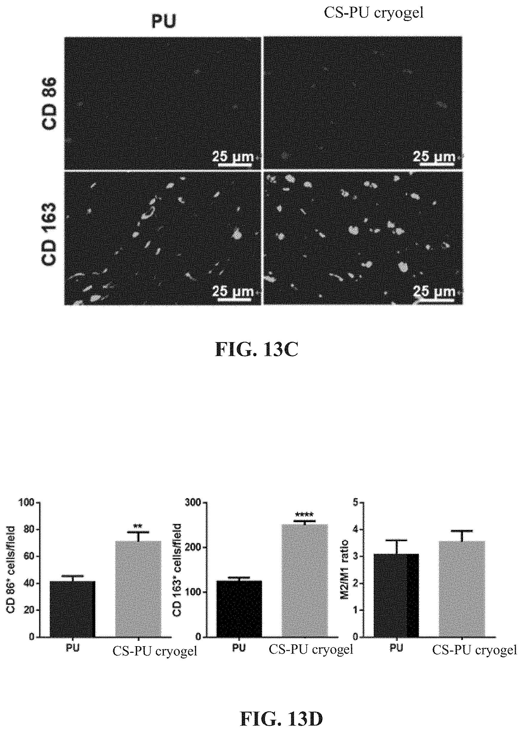 Patent US11773205 Figure 18 – Crosslinking agent, preparation process and uses thereof, hydrogel and biodegradable cryogel comprising crosslinking agent