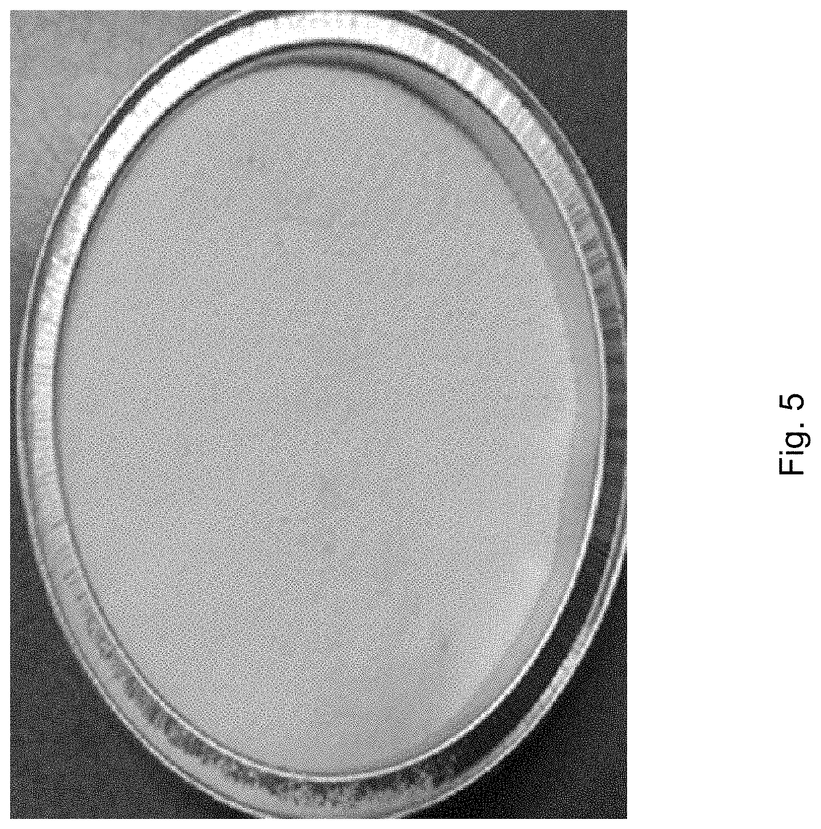Patent US11773241 Figure 5 – Tire compositions and methods for making thereof