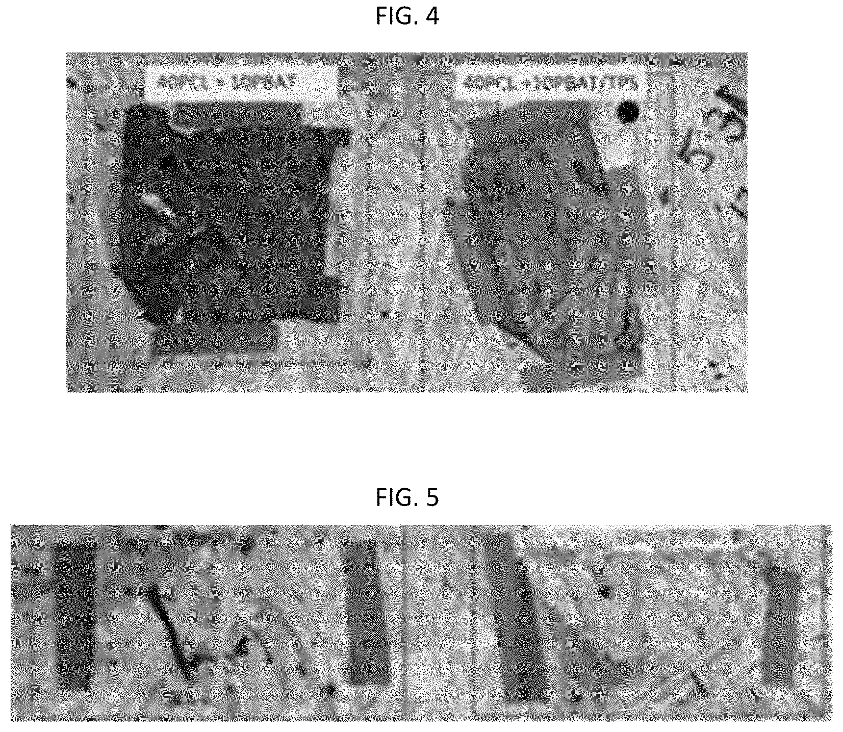 Patent US11773252 Figure 3 – Transient polymer blends