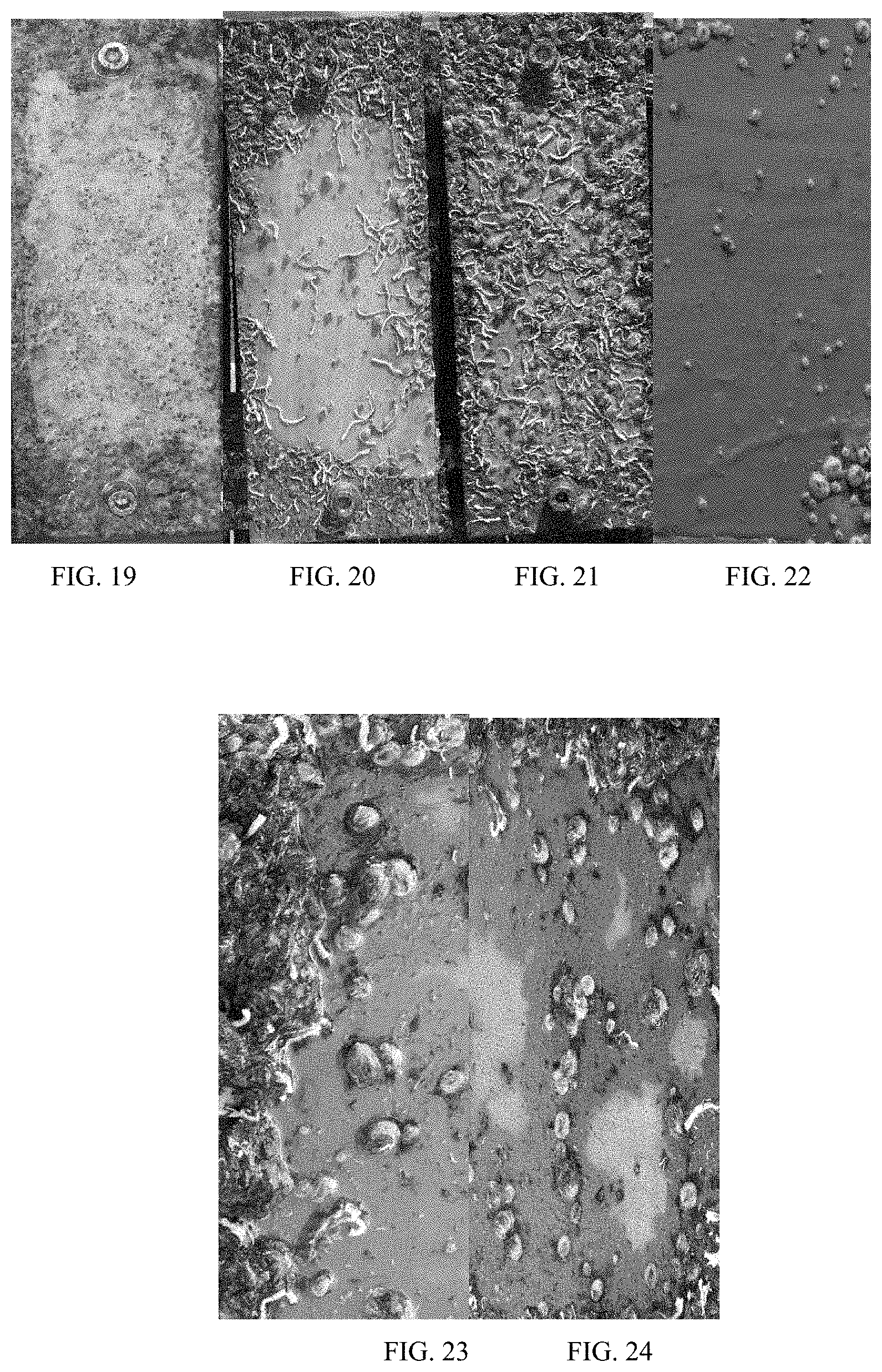 Patent US11773274 Figure 2 – Environmental-friendly antifouling agent and antifouling paint, multi-layer protective film structure and use thereof