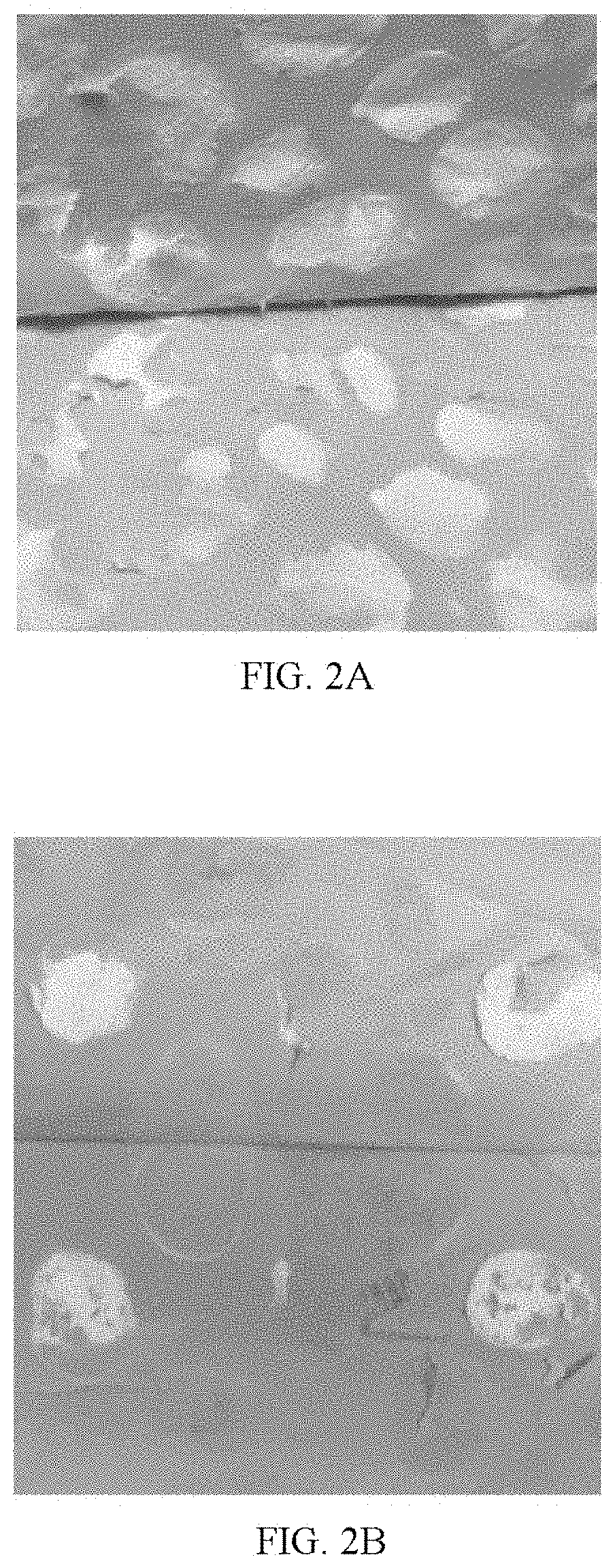 Patent US11773297 Figure 2 – Dielectric heating of foamable compositions