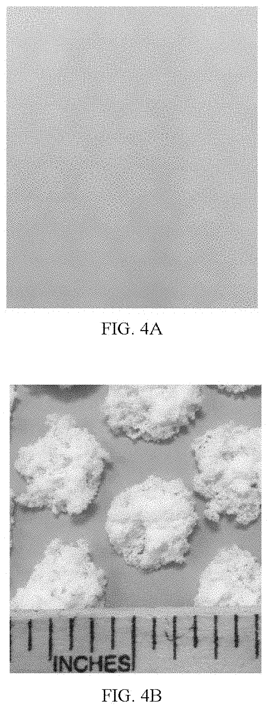 Patent US11773297 Figure 4 – Dielectric heating of foamable compositions