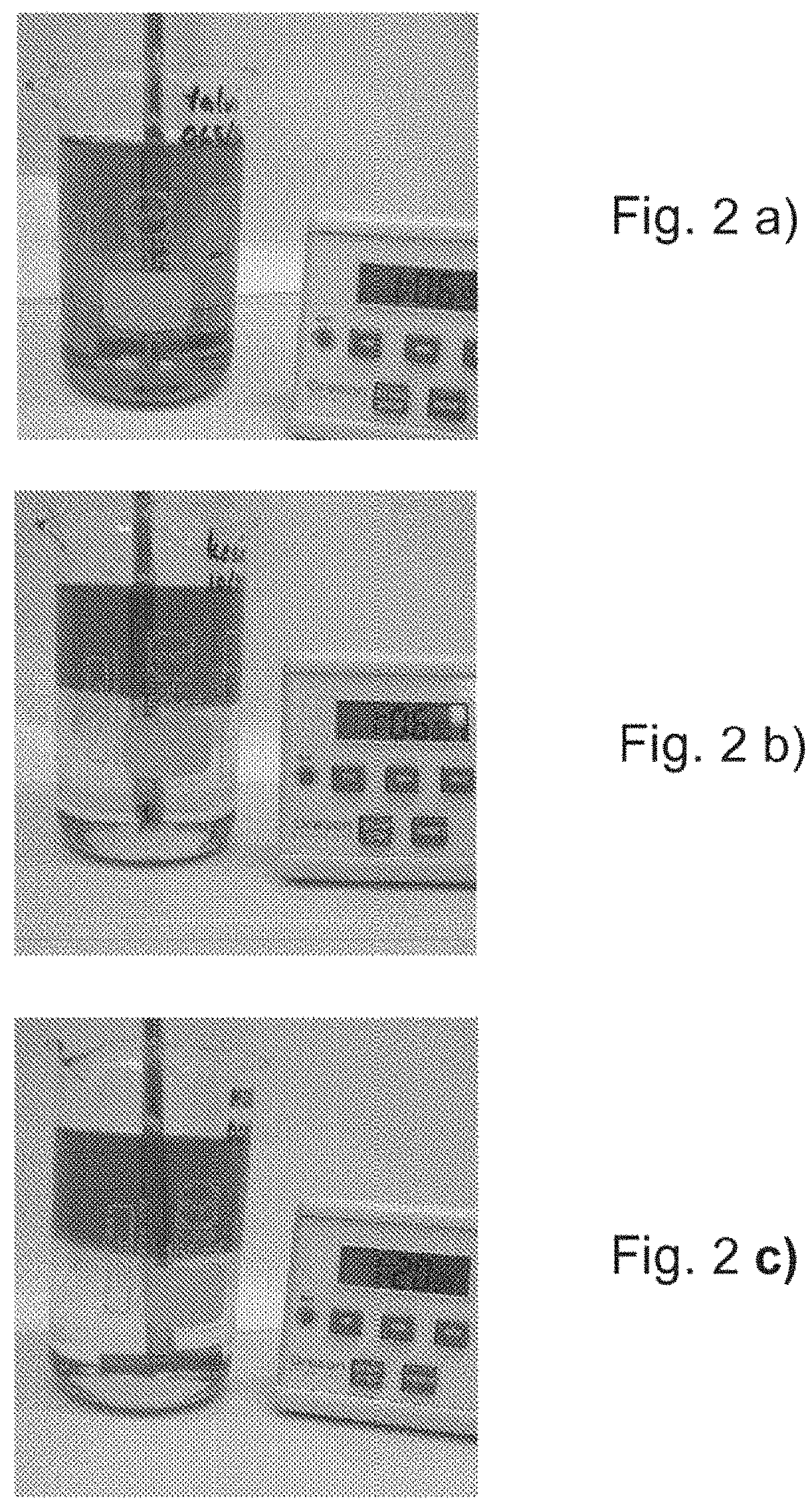 Patent US11773334 Figure 2 – Method for producing a mixture of hydrocarbons