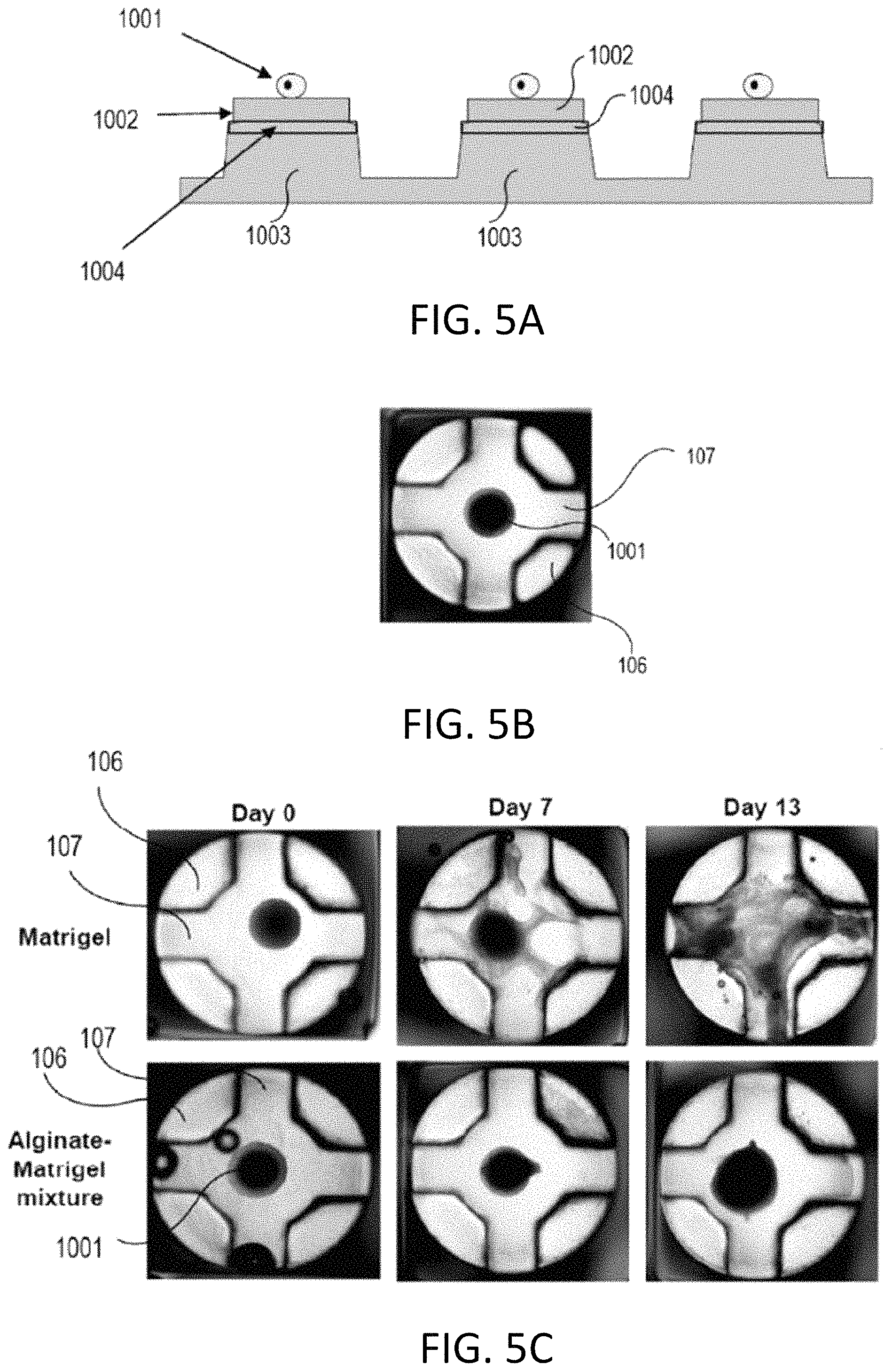 Patent US11773357 Figure 6 – Perfusion plate for microarray 3D bioprinting