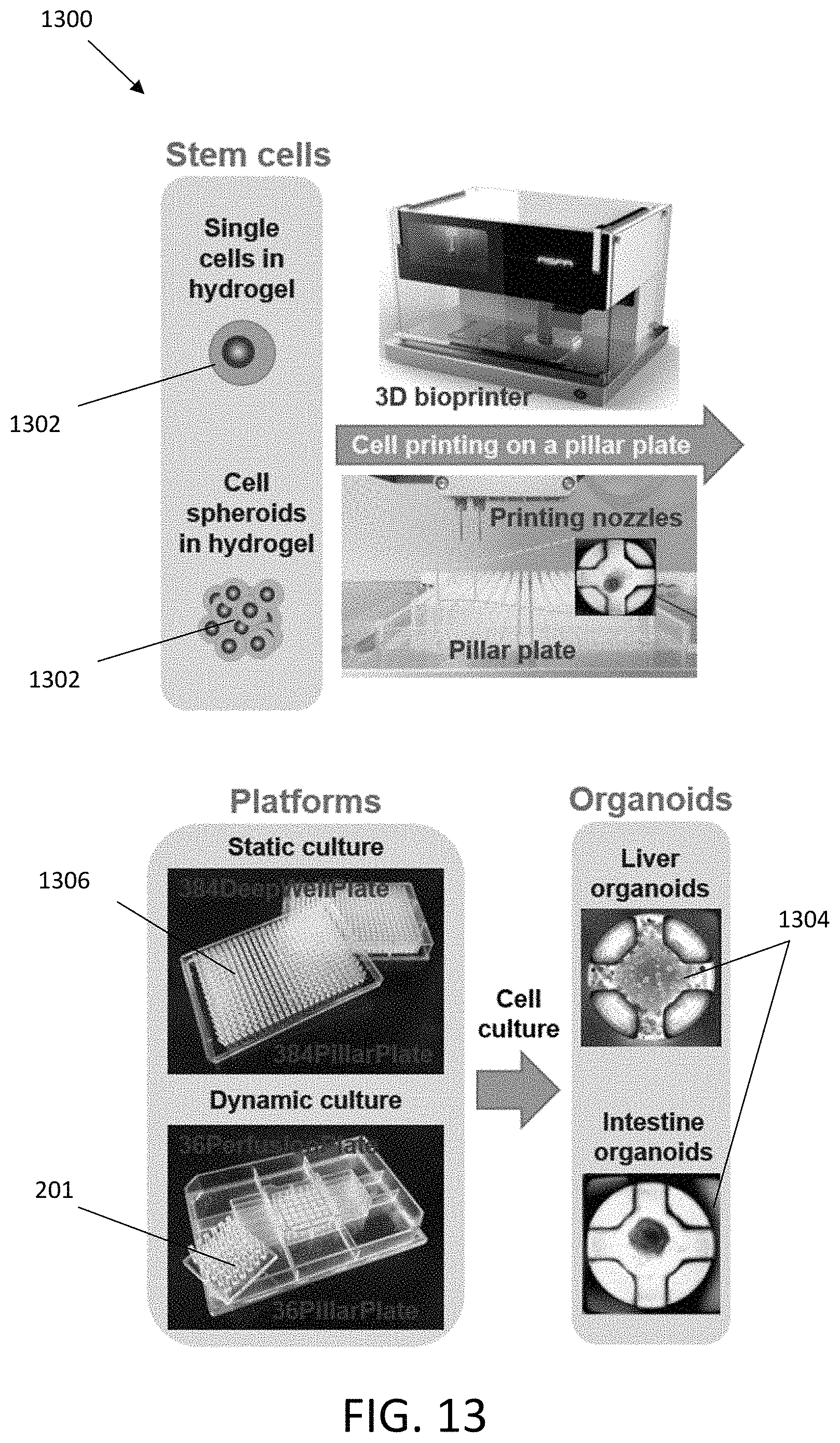 Patent US11773357 Figure 19 – Perfusion plate for microarray 3D bioprinting