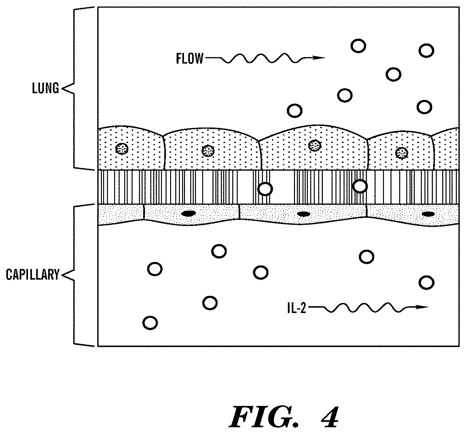 Patent US11773359 Figure 4 – Integrated human organ-on-chip microphysiological systems