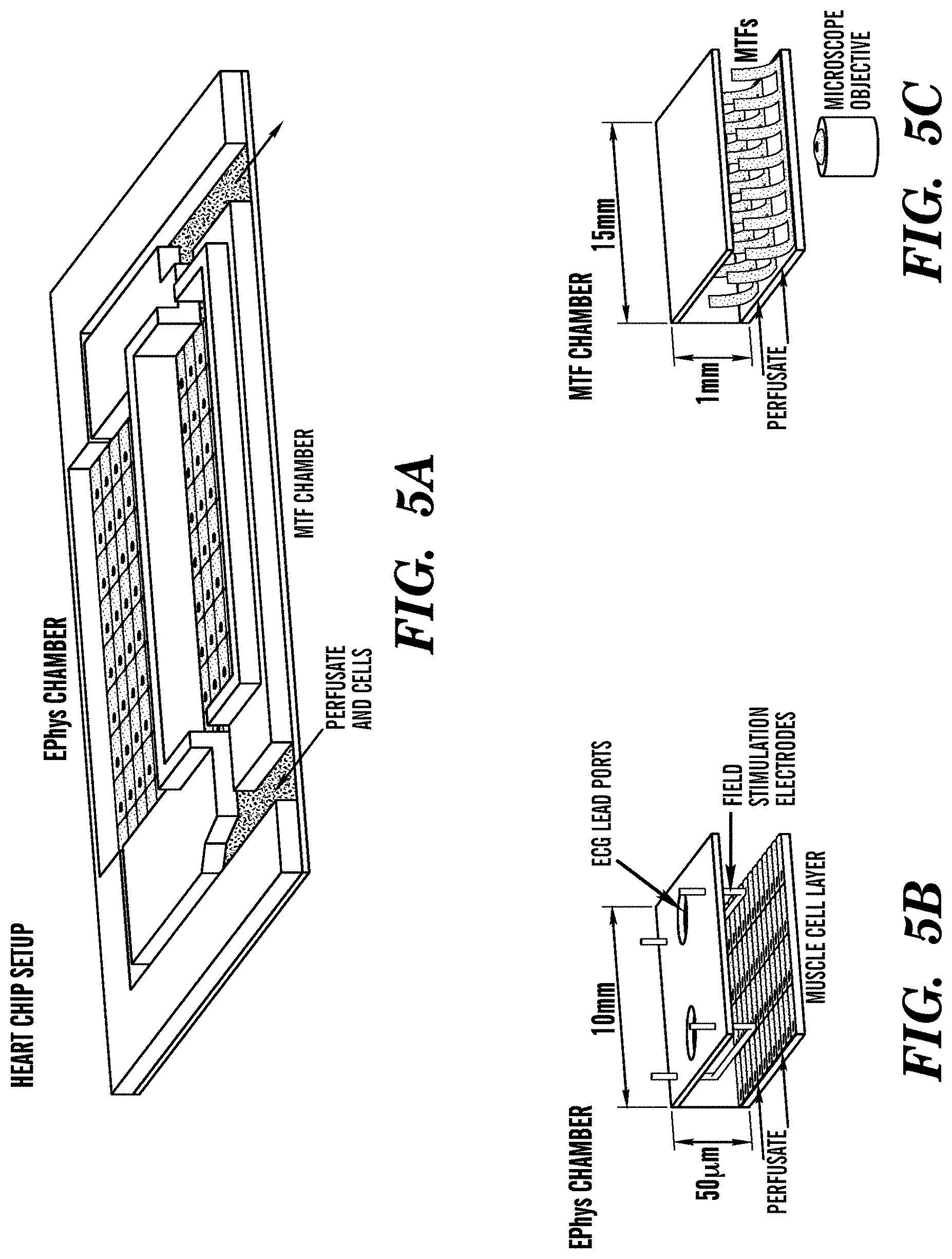 Patent US11773359 Figure 6 – Integrated human organ-on-chip microphysiological systems