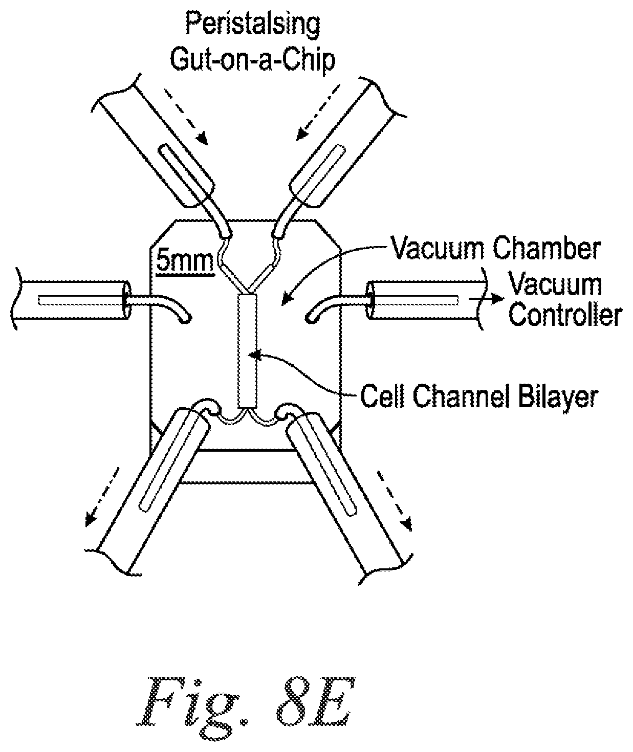 Patent US11773359 Figure 11 – Integrated human organ-on-chip microphysiological systems