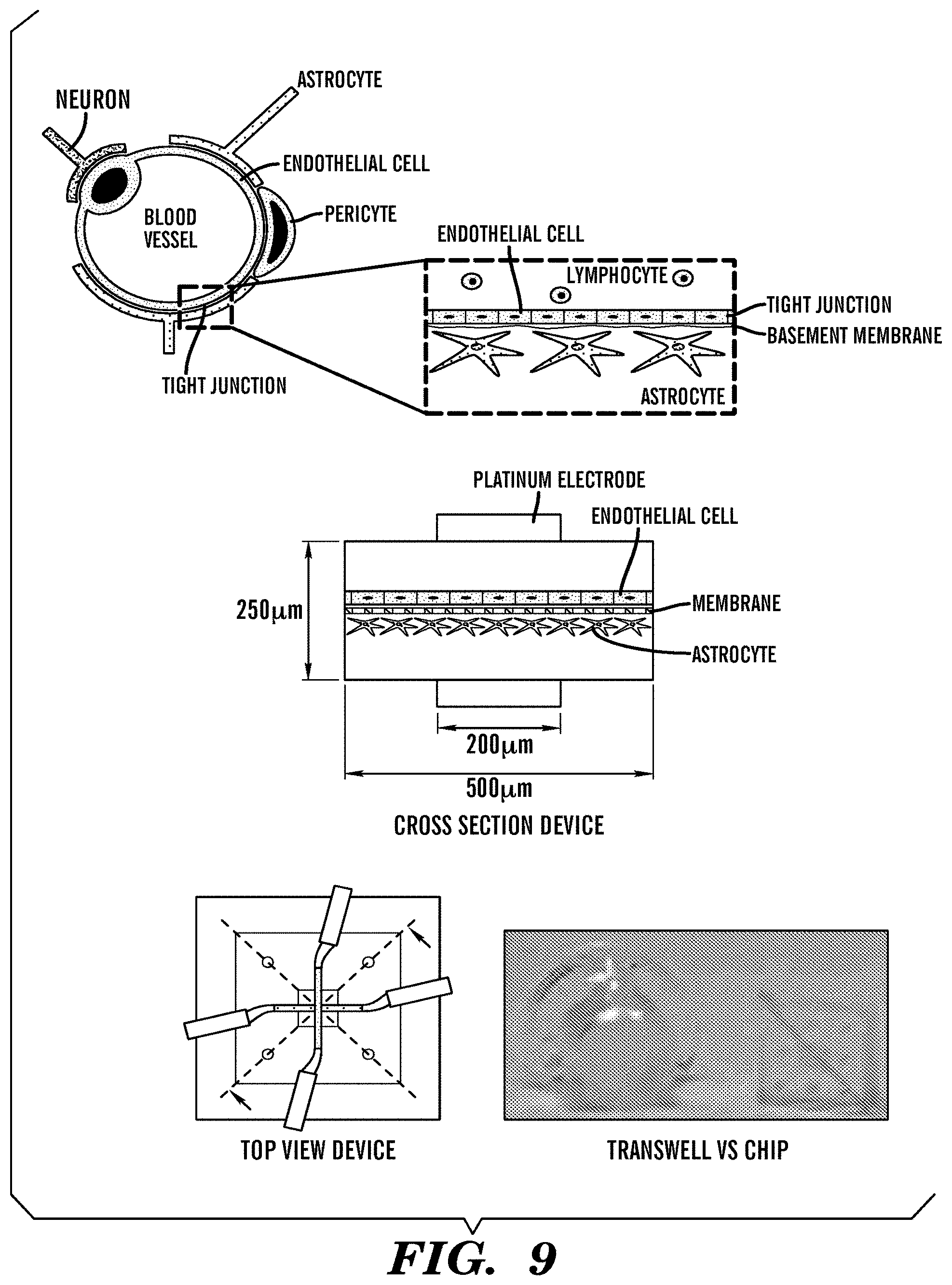 Patent US11773359 Figure 12 – Integrated human organ-on-chip microphysiological systems