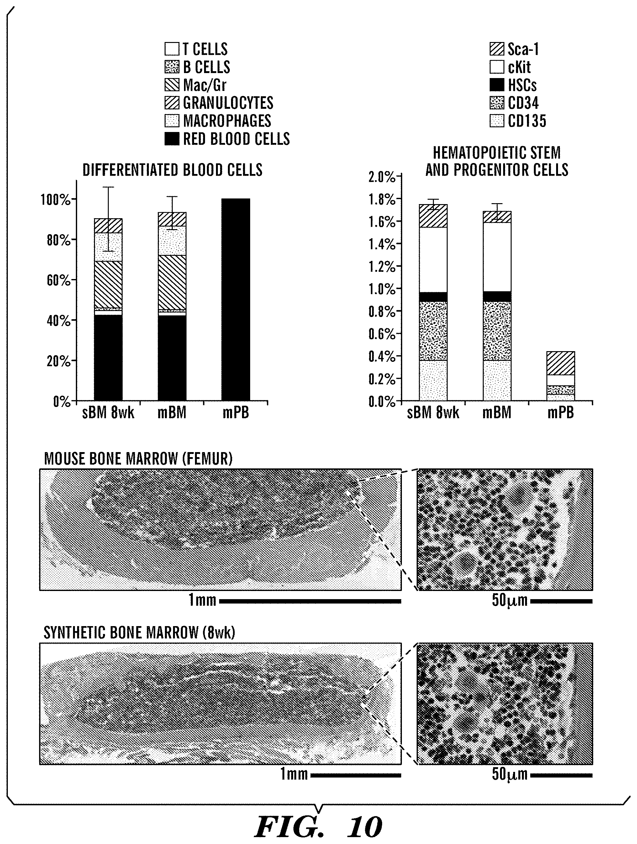 Patent US11773359 Figure 13 – Integrated human organ-on-chip microphysiological systems