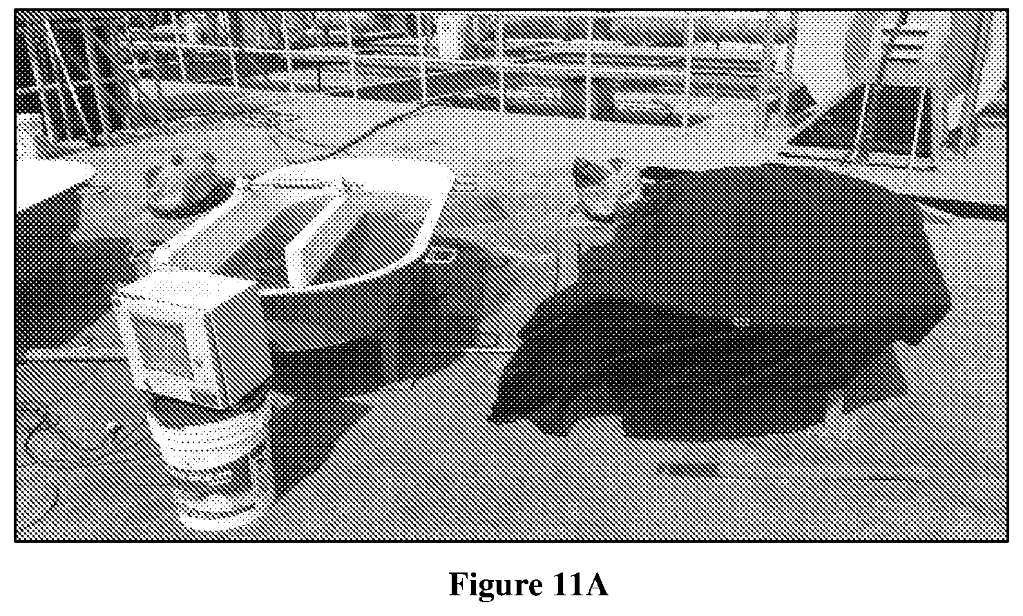 Patent US11773360 Figure 11 – Algal cultivation system and a process for biomass production