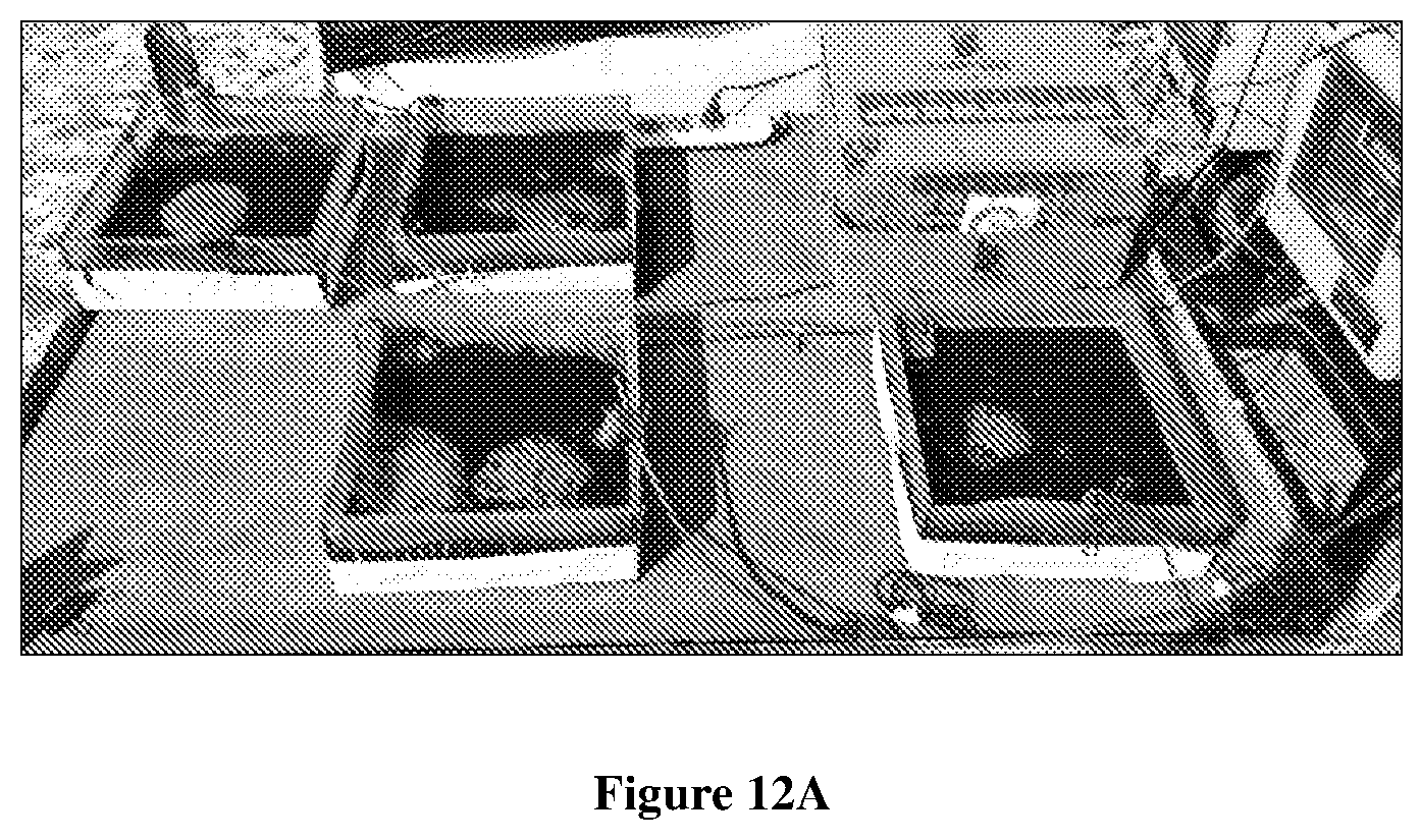 Patent US11773360 Figure 13 – Algal cultivation system and a process for biomass production