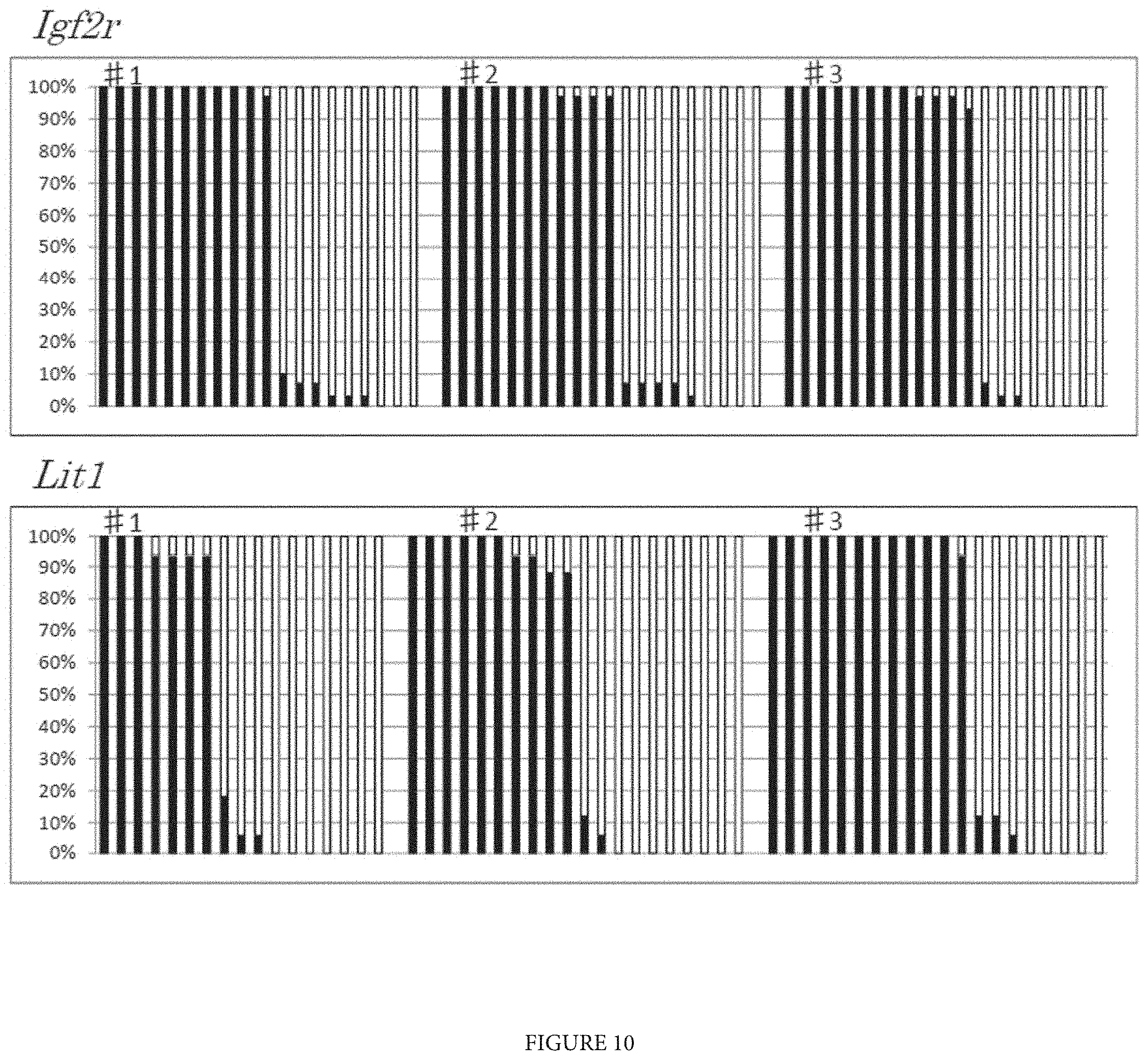 Patent US11773368 Figure 9 – Culture method for differentiating primordial germ cells into functionally mature oocytes