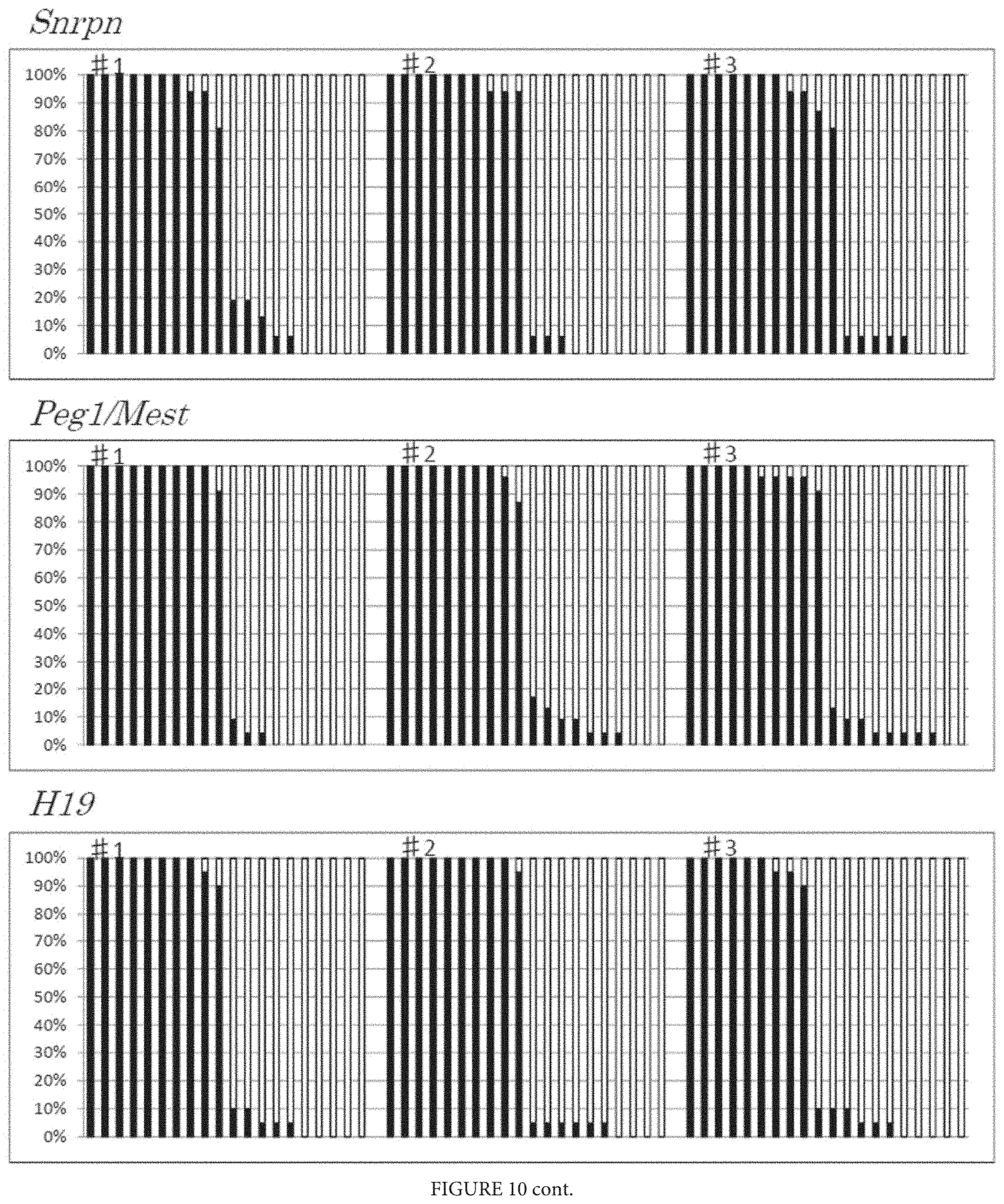 Patent US11773368 Figure 10 – Culture method for differentiating primordial germ cells into functionally mature oocytes