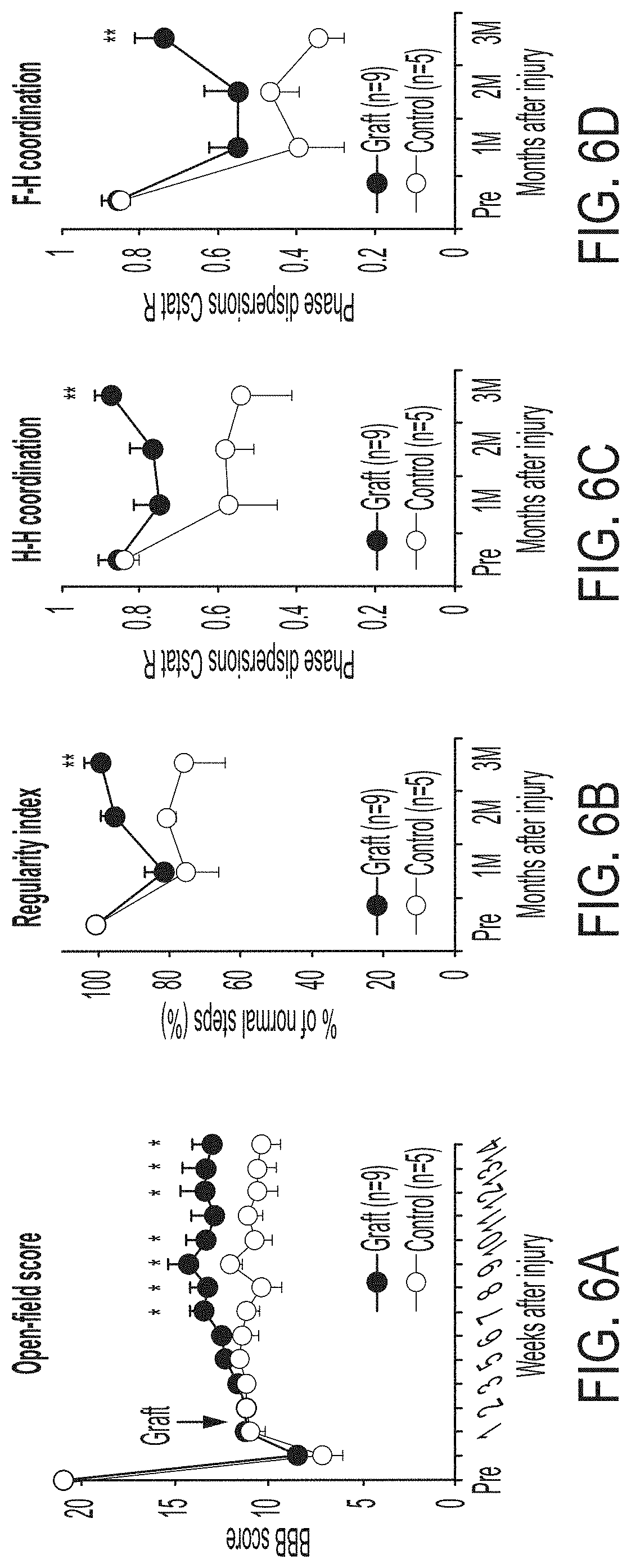Patent US11773369 Figure 11 – Generation of human spinal cord neural stem cells