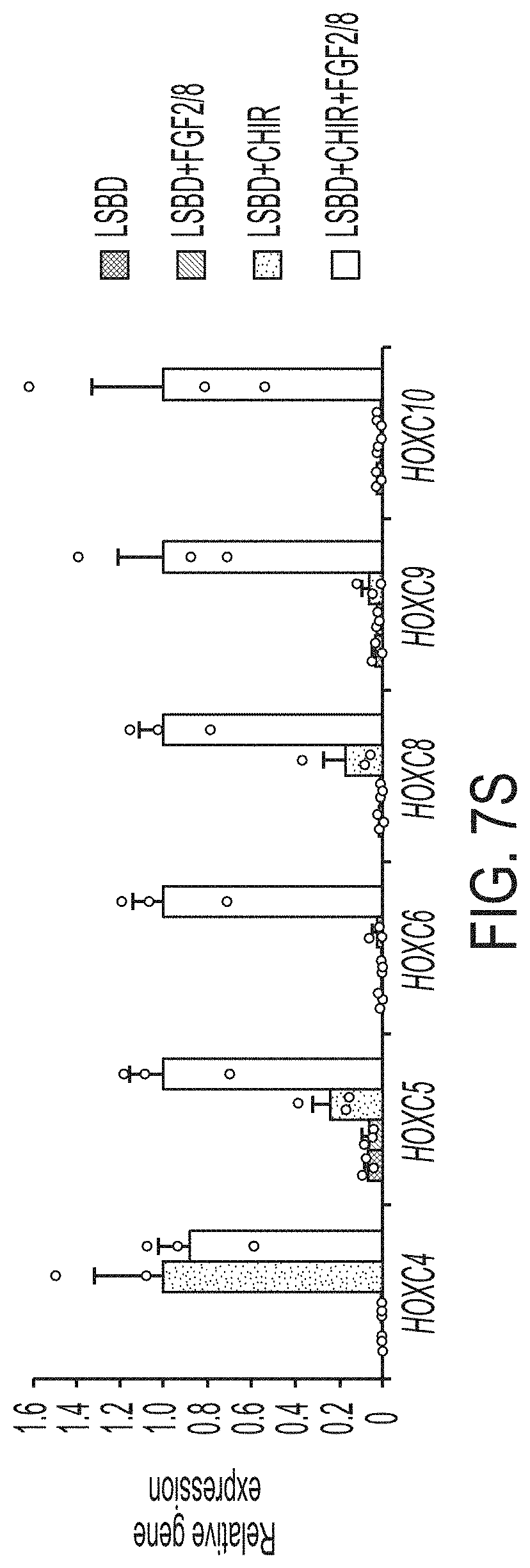 Patent US11773369 Figure 14 – Generation of human spinal cord neural stem cells