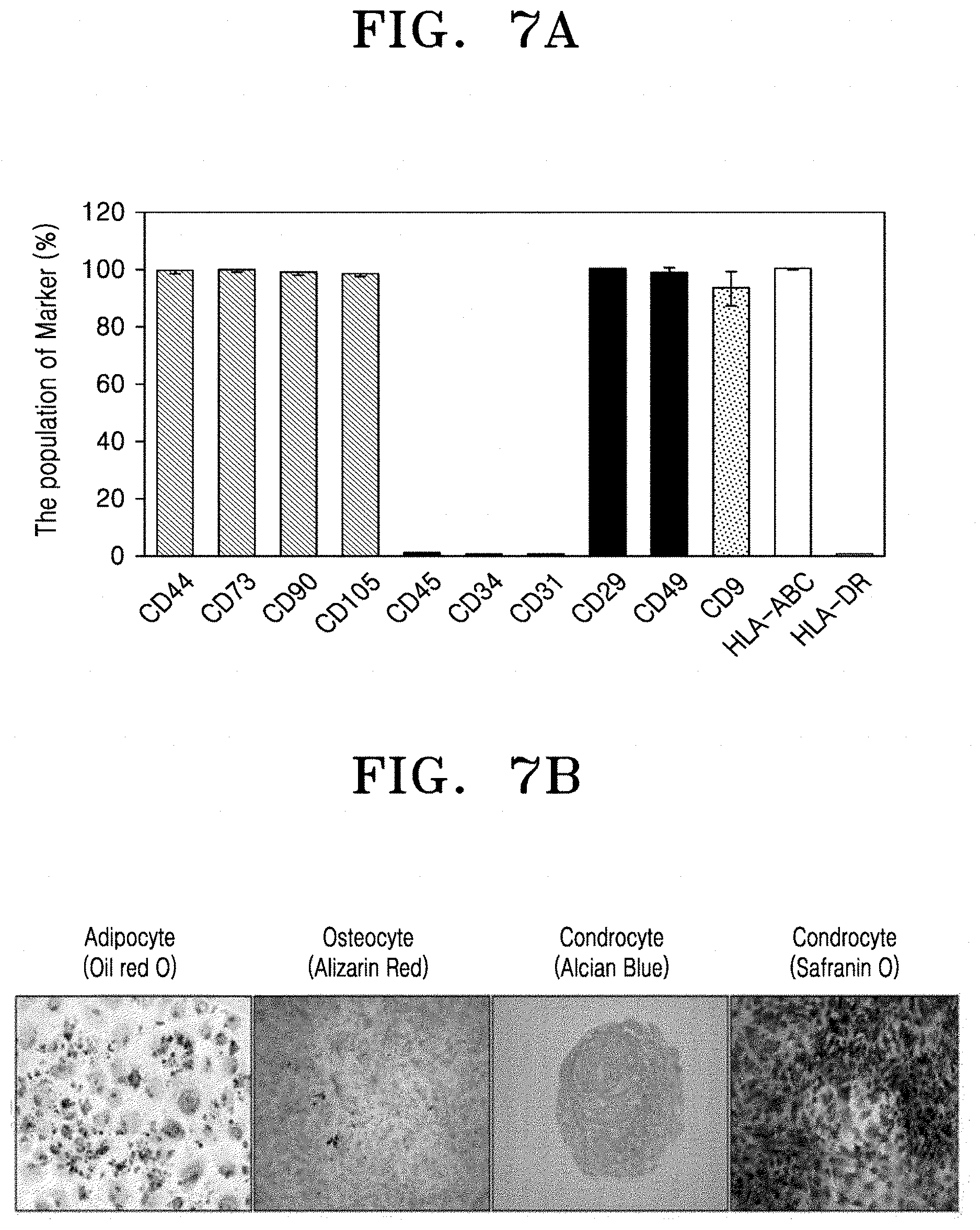 Patent US11773370 Figure 4 – Stem cell-derived skin precursor cell culture medium and preparation method therefor