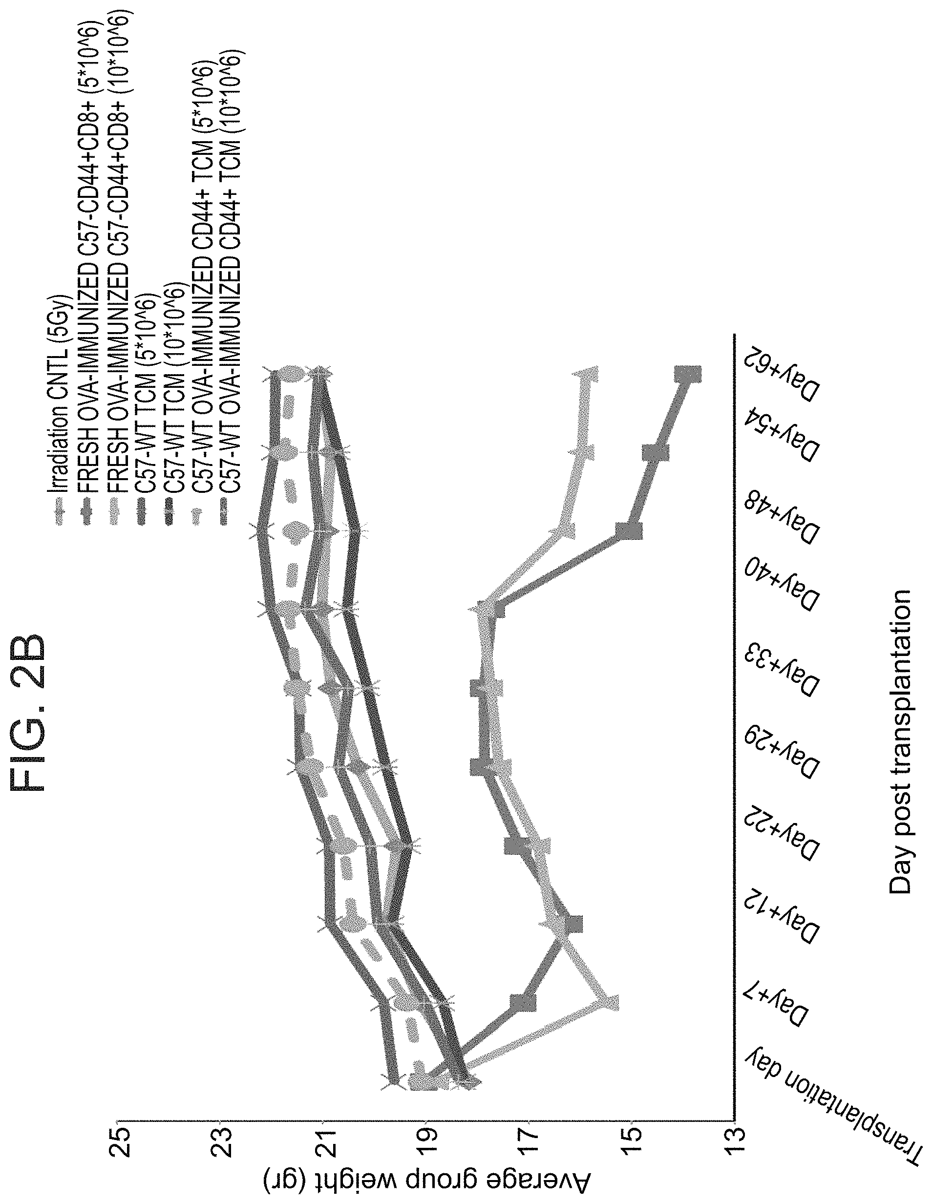 Patent US11773372 Figure 3 – Veto cells generated from memory T cells