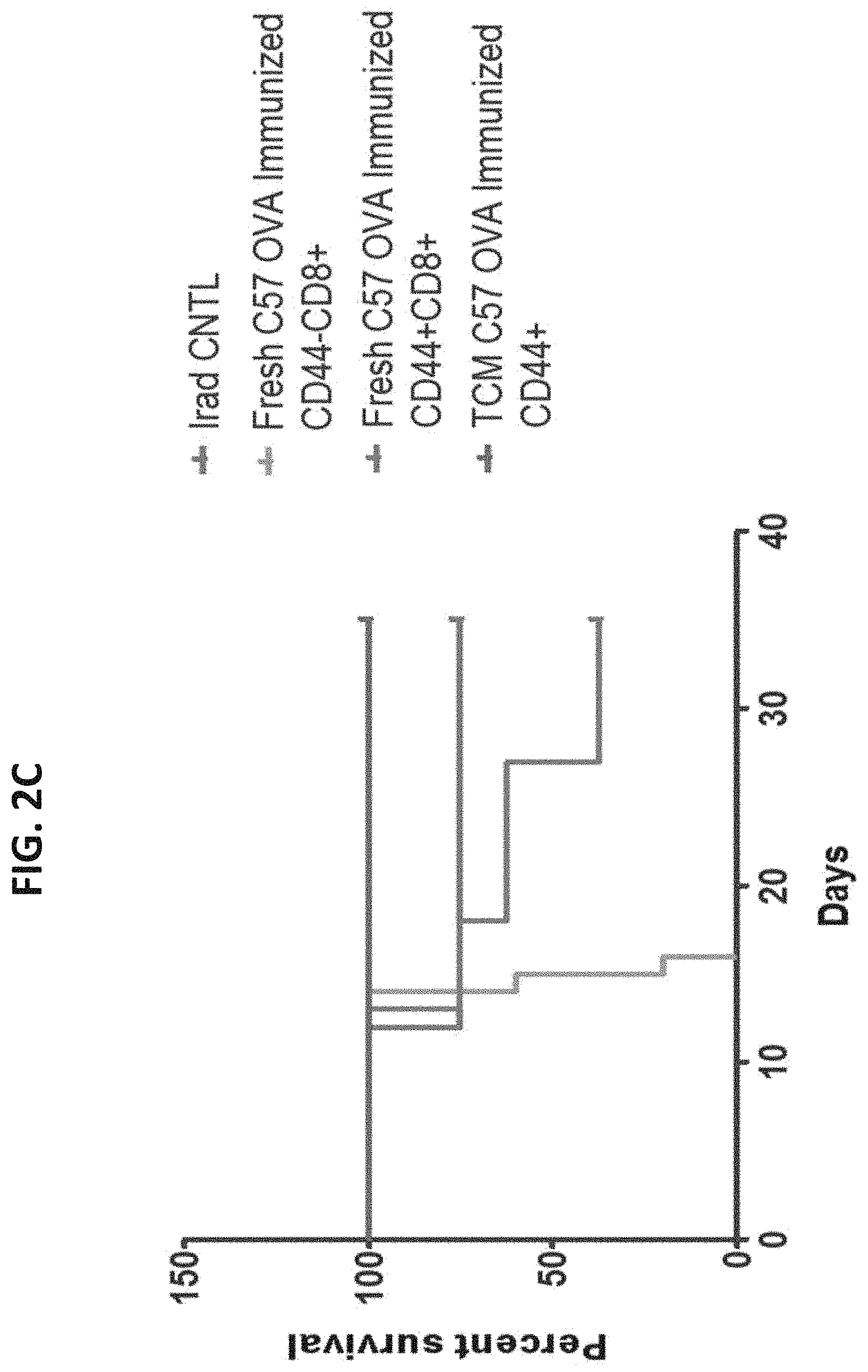 Patent US11773372 Figure 4 – Veto cells generated from memory T cells