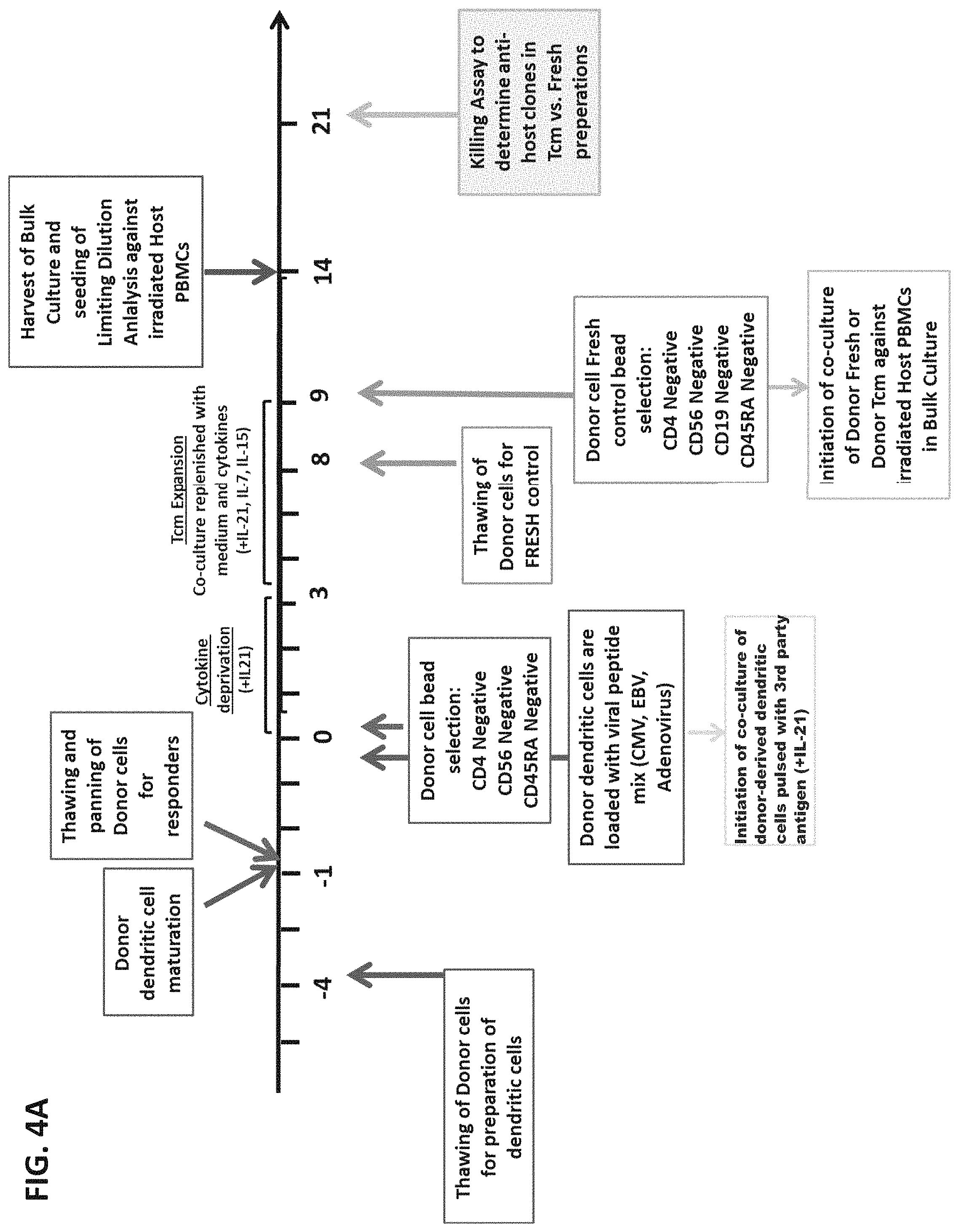Patent US11773372 Figure 9 – Veto cells generated from memory T cells