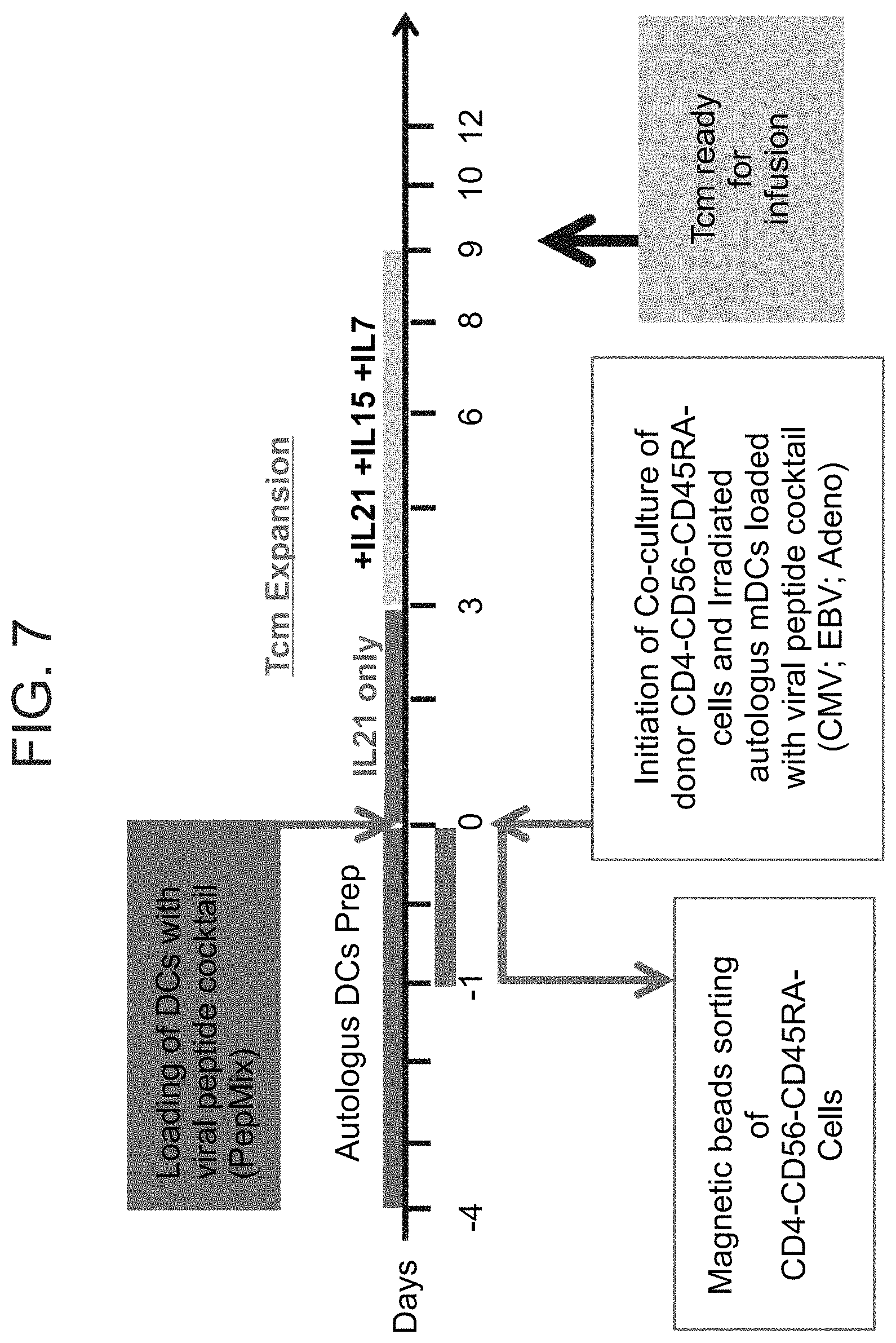 Patent US11773372 Figure 14 – Veto cells generated from memory T cells
