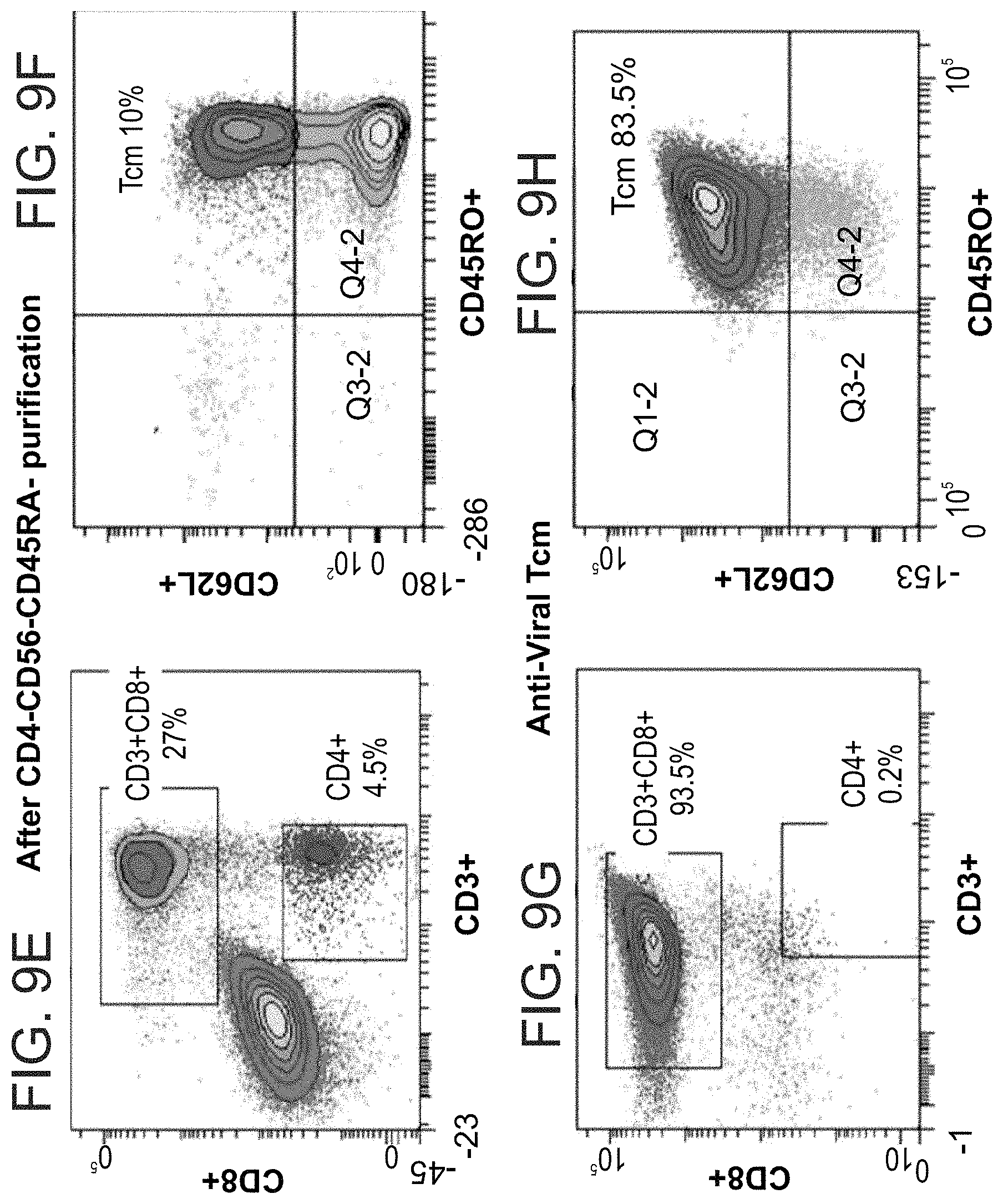 Patent US11773372 Figure 17 – Veto cells generated from memory T cells