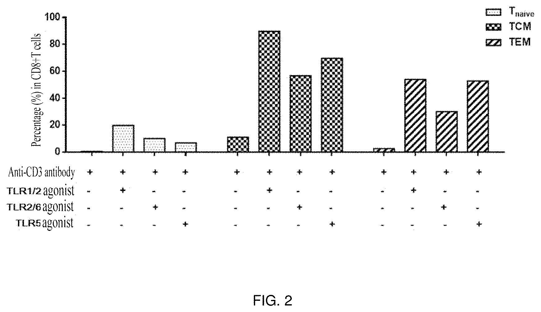 Patent US11773373 Figure 2 – Method for amplifying CD8+T cells and cell subpopulations thereof in-vitro