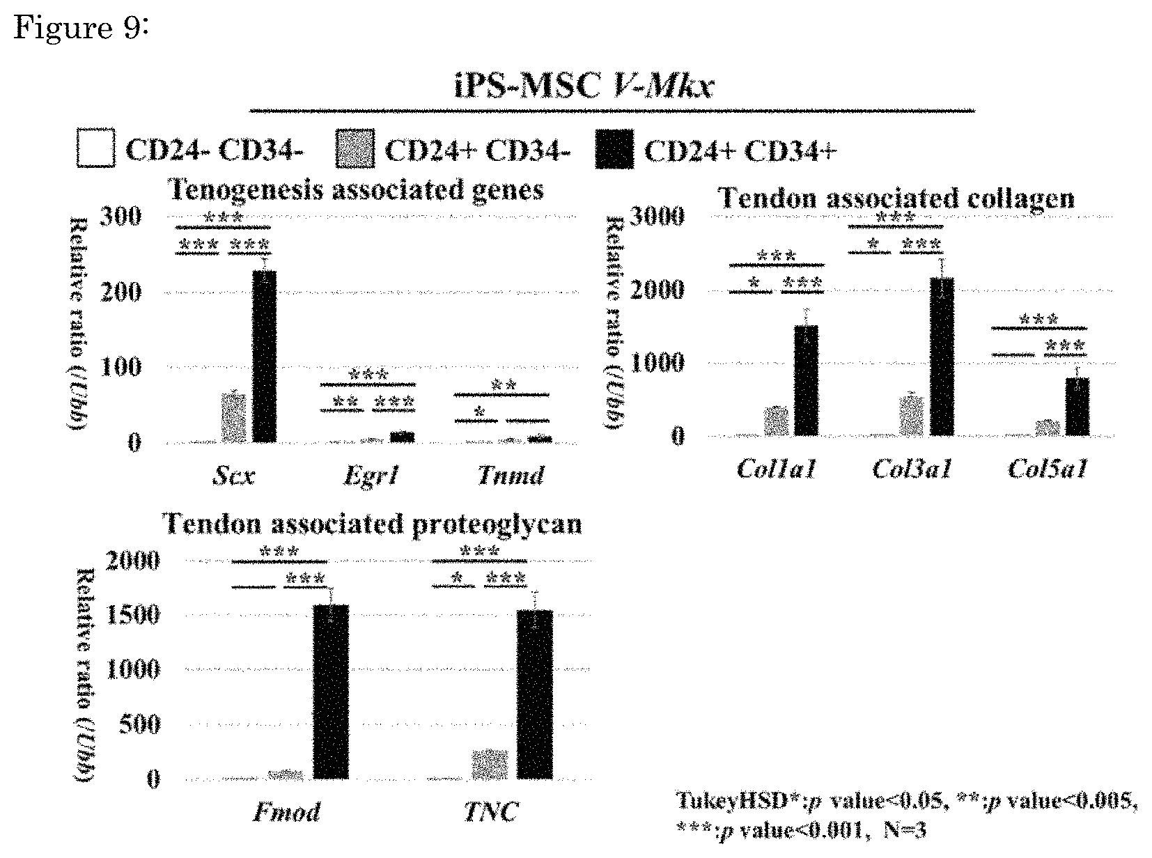 Patent US11773376 Figure 9 – Artificial tendon or ligament tissue produced using three-dimensional mechanosignaling cell culture system
