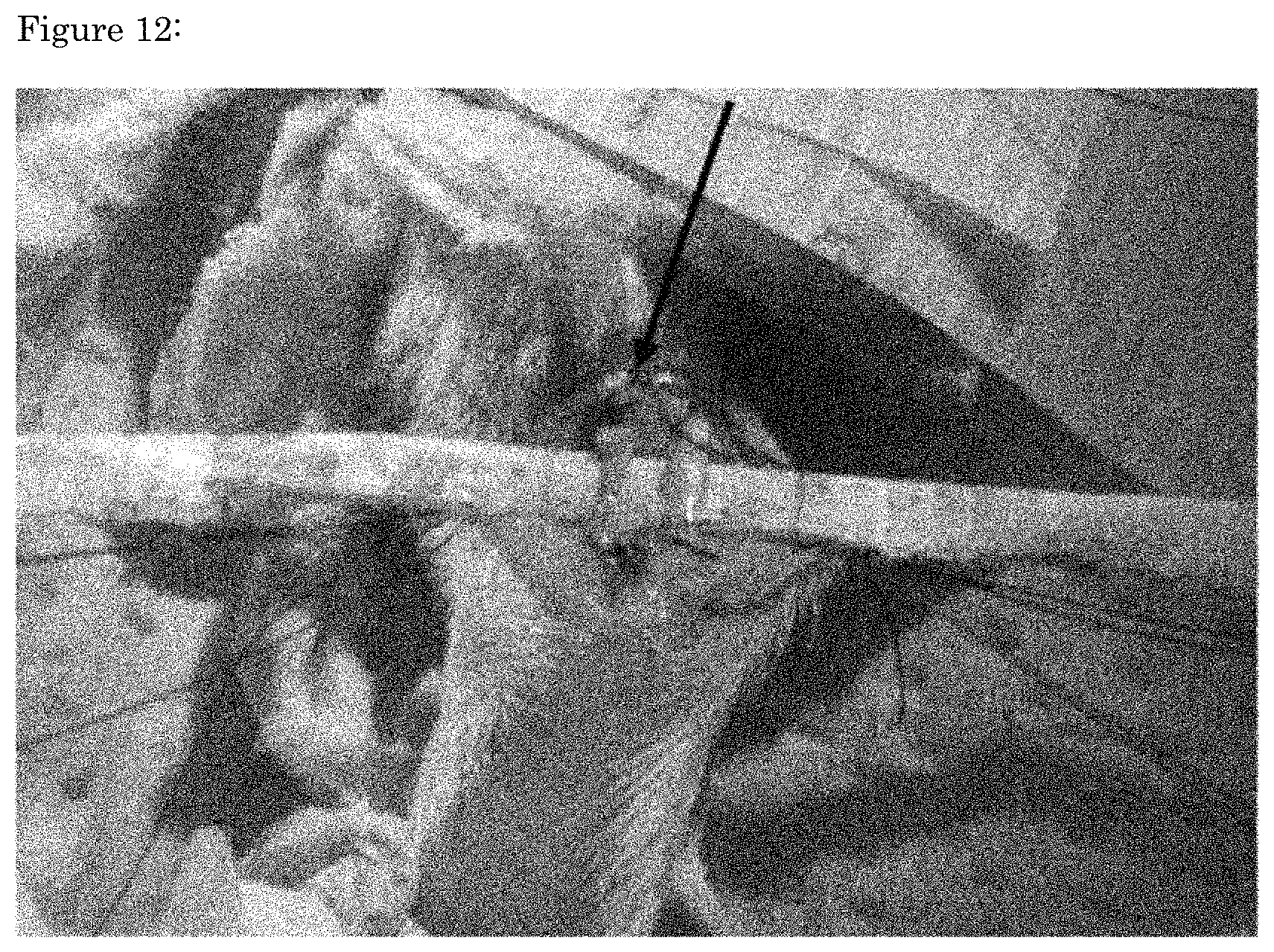 Patent US11773376 Figure 12 – Artificial tendon or ligament tissue produced using three-dimensional mechanosignaling cell culture system