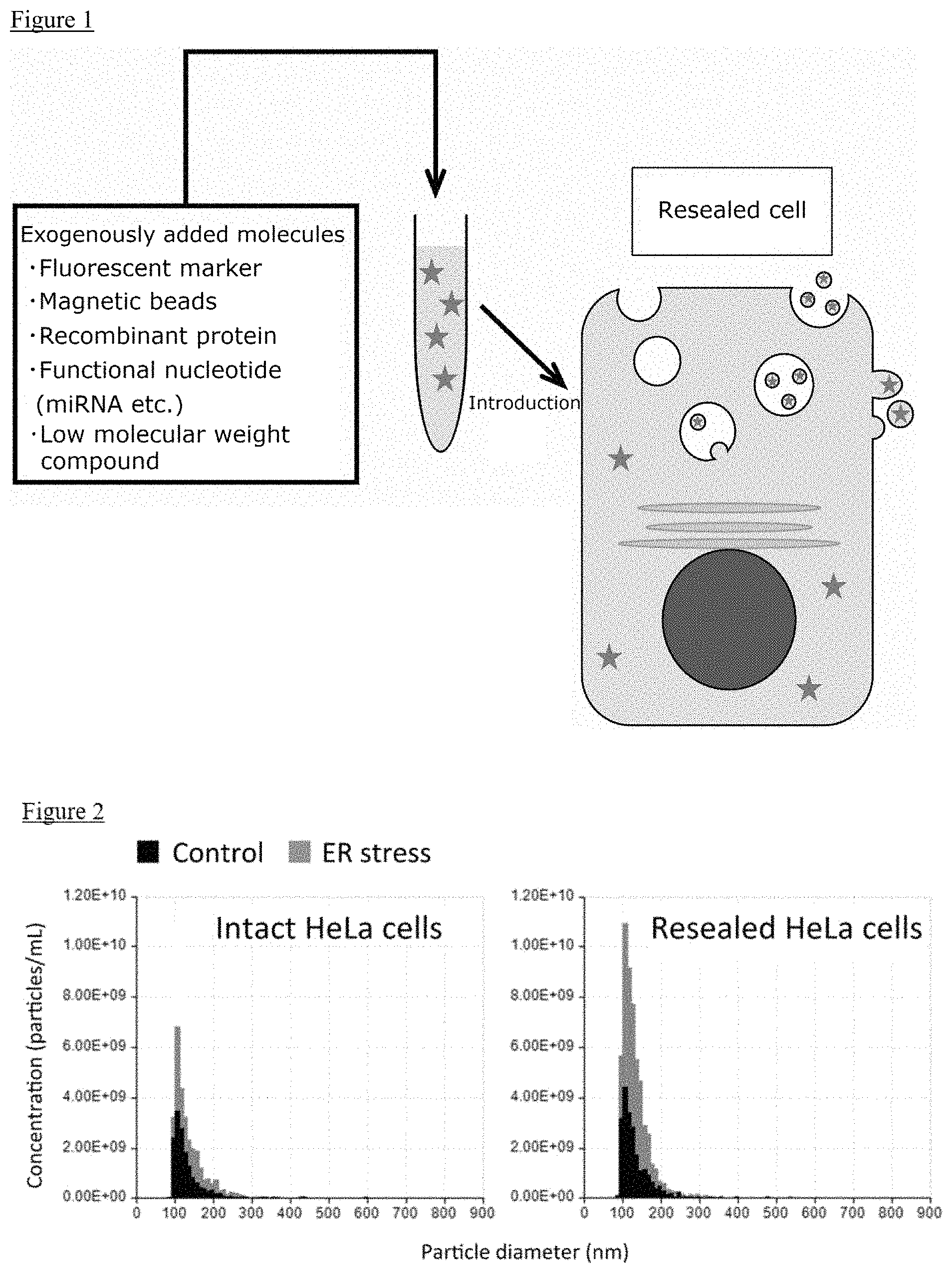 Patent US11773377 Figure 1 – Method for producing exosomes and exosomes obtained thereby