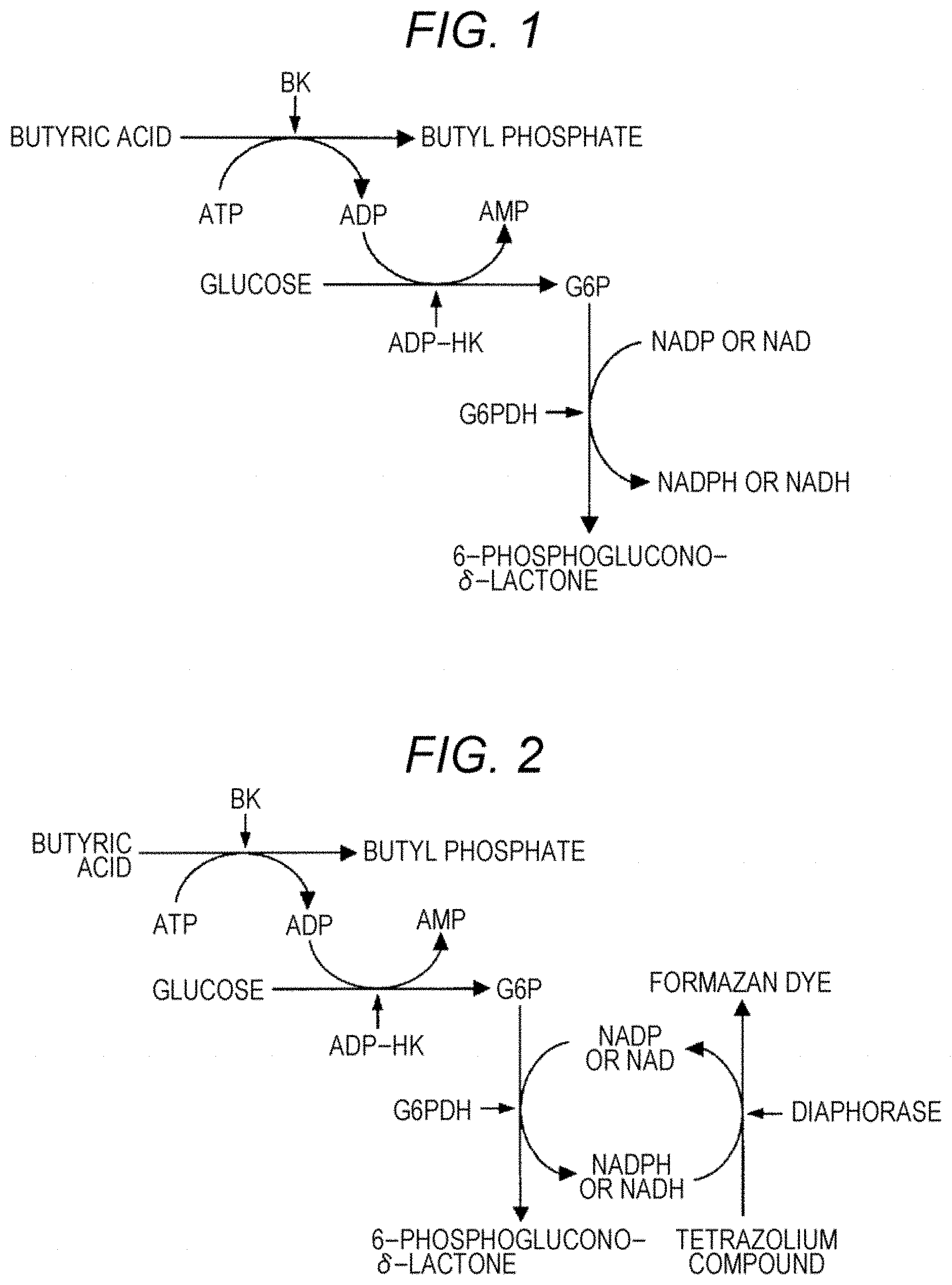 Patent US11773379 Figure 1 – Enzymes and reagents for measurement of short chain fatty acids