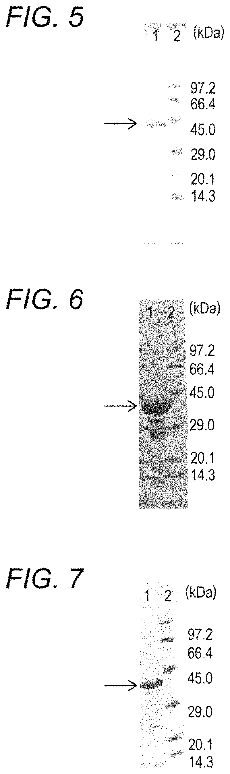Patent US11773379 Figure 3 – Enzymes and reagents for measurement of short chain fatty acids