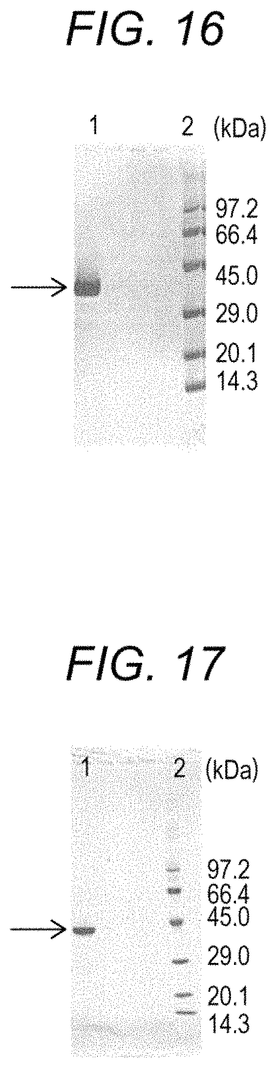Patent US11773379 Figure 9 – Enzymes and reagents for measurement of short chain fatty acids
