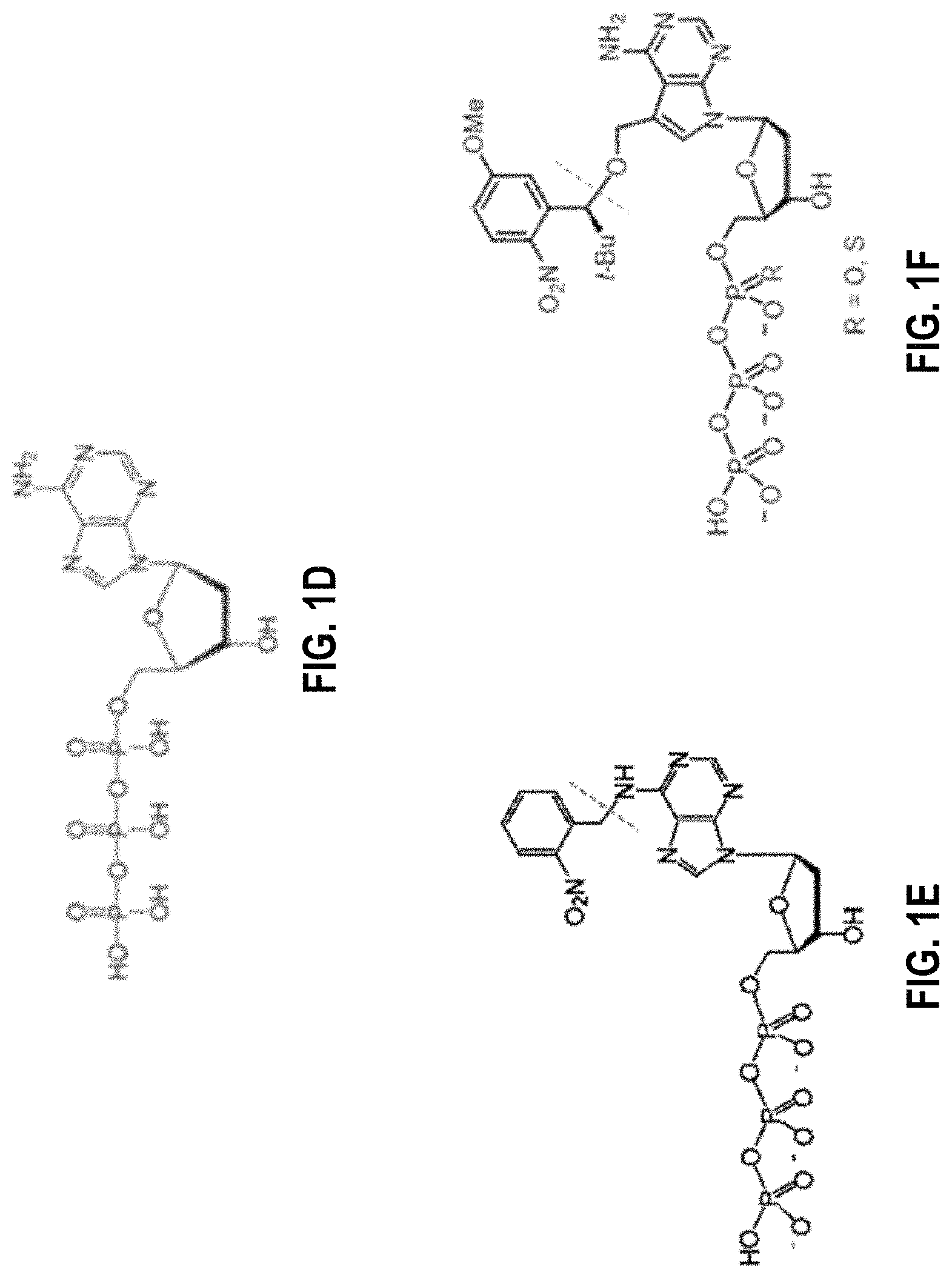Patent US11773380 Figure 2 – Polymerase mutants and use with 3′-OH unblocked reversible terminators