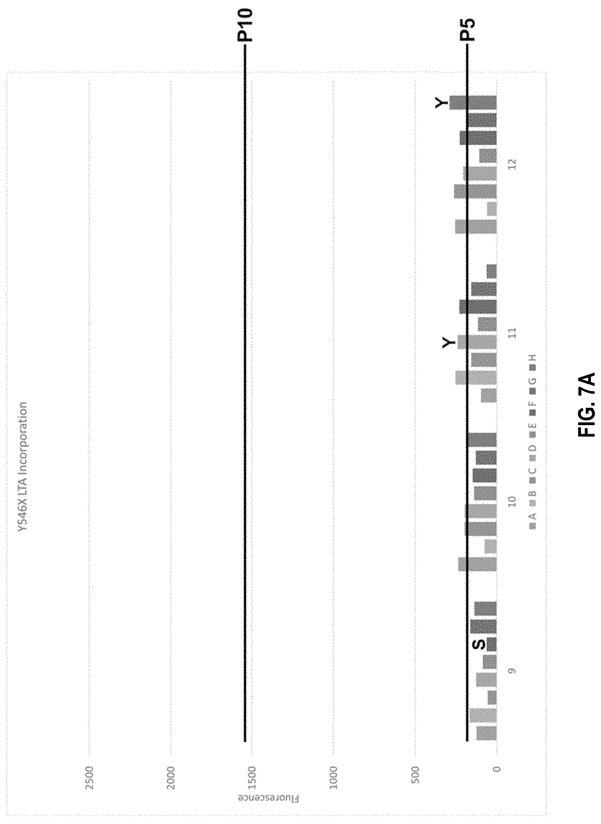 Patent US11773380 Figure 9 – Polymerase mutants and use with 3′-OH unblocked reversible terminators