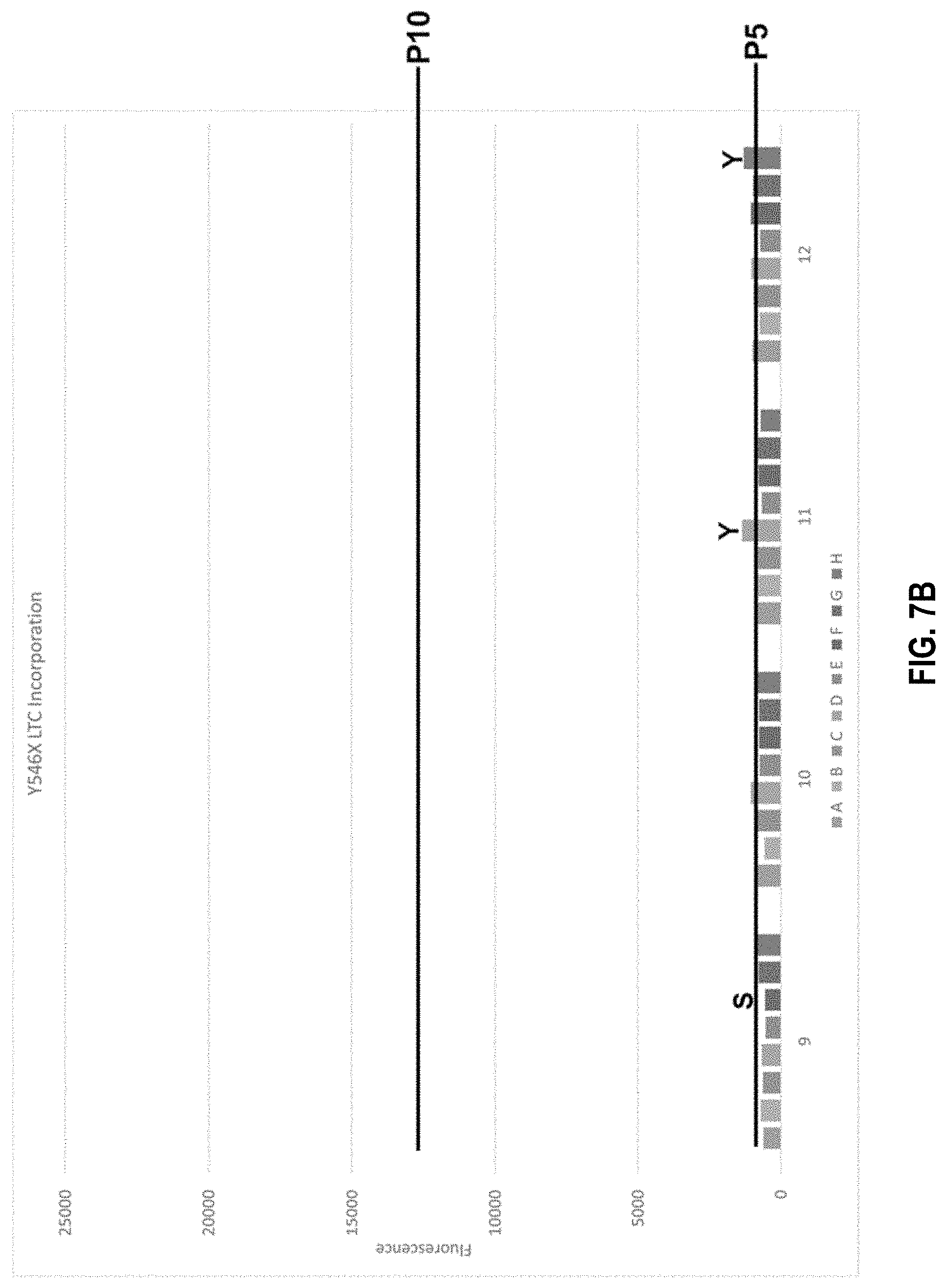 Patent US11773380 Figure 10 – Polymerase mutants and use with 3′-OH unblocked reversible terminators