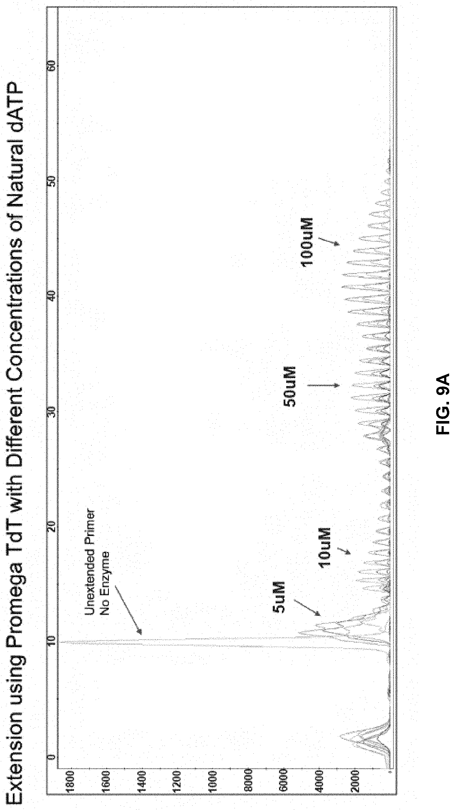 Patent US11773380 Figure 12 – Polymerase mutants and use with 3′-OH unblocked reversible terminators