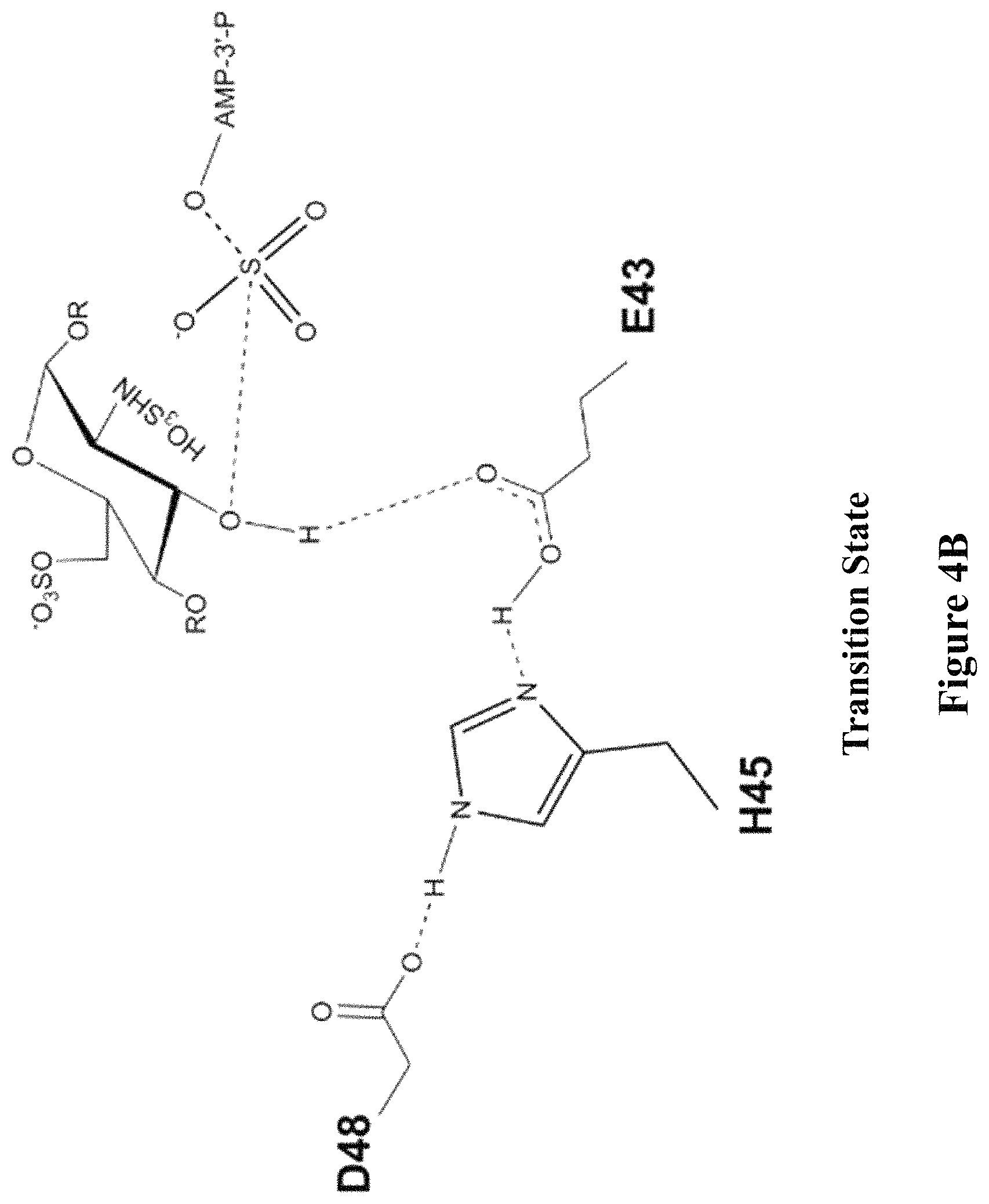 Patent US11773382 Figure 5 – Engineered aryl sulfate-dependent enzymes