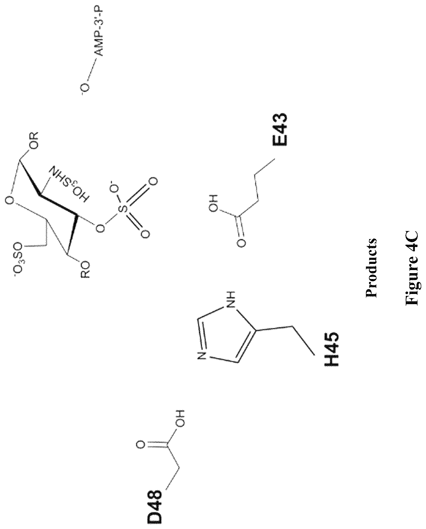 Patent US11773382 Figure 6 – Engineered aryl sulfate-dependent enzymes