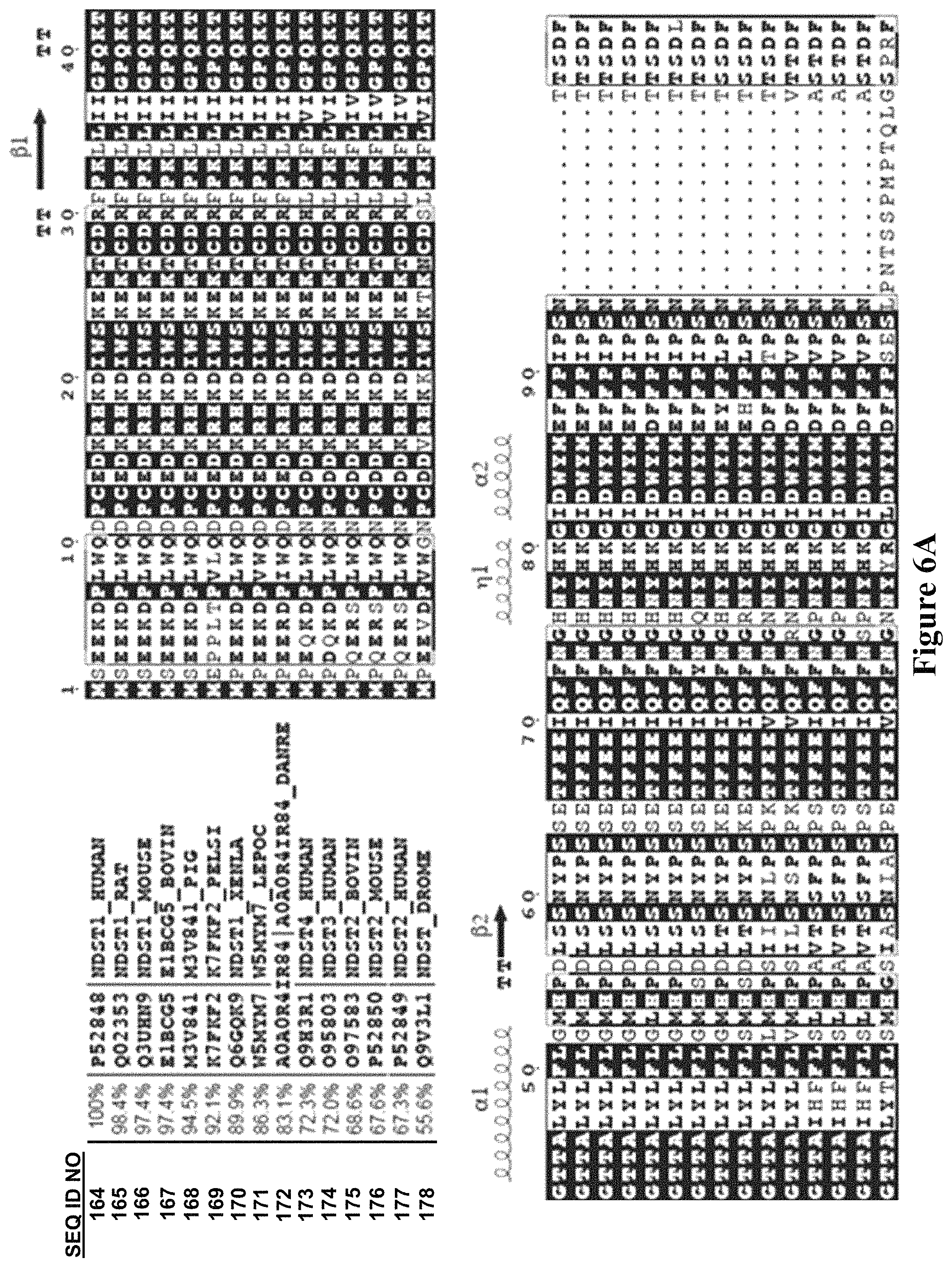 Patent US11773382 Figure 8 – Engineered aryl sulfate-dependent enzymes