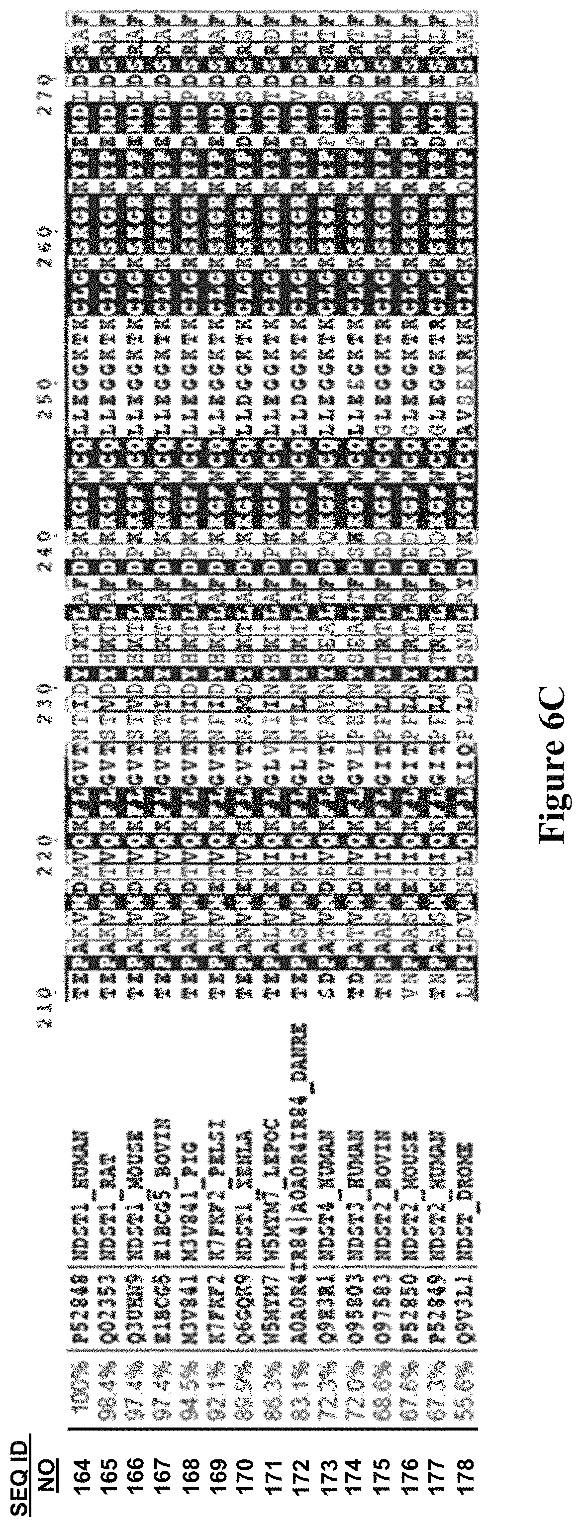 Patent US11773382 Figure 10 – Engineered aryl sulfate-dependent enzymes