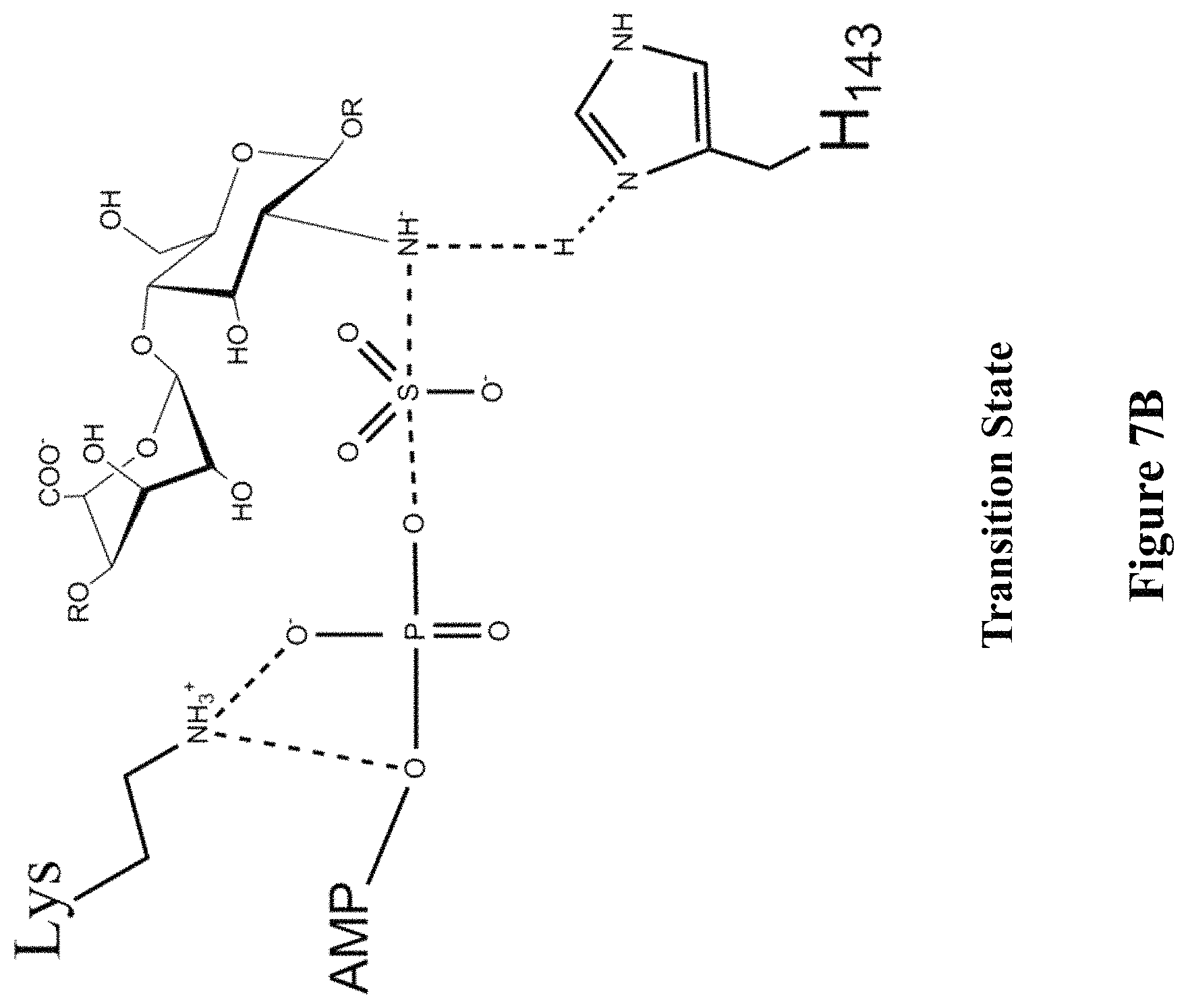 Patent US11773382 Figure 12 – Engineered aryl sulfate-dependent enzymes