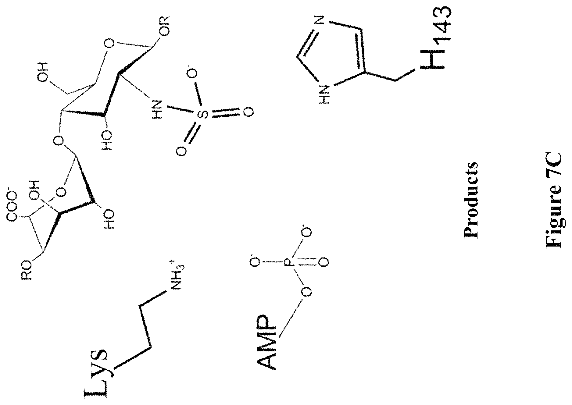 Patent US11773382 Figure 13 – Engineered aryl sulfate-dependent enzymes