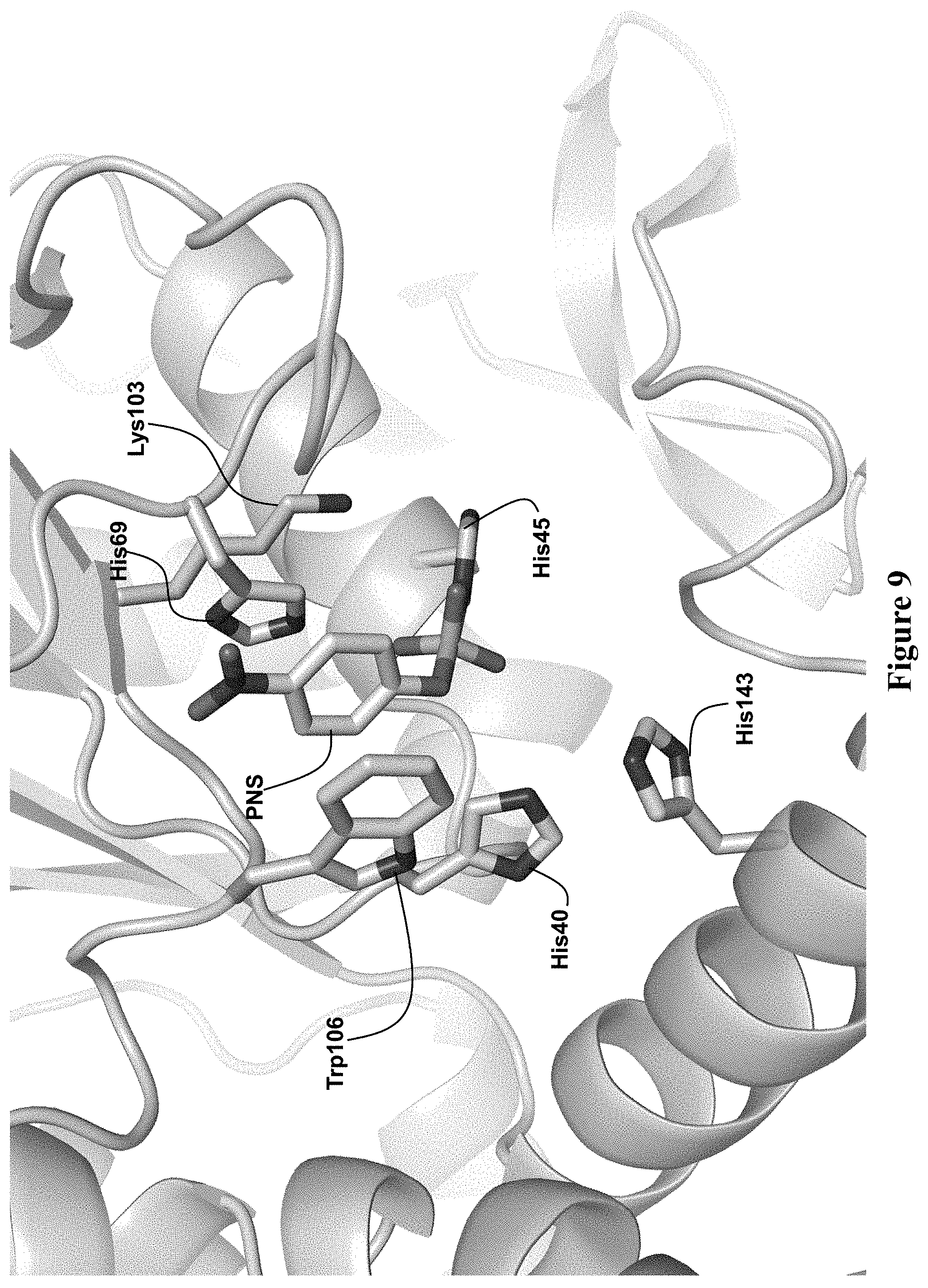 Patent US11773382 Figure 15 – Engineered aryl sulfate-dependent enzymes