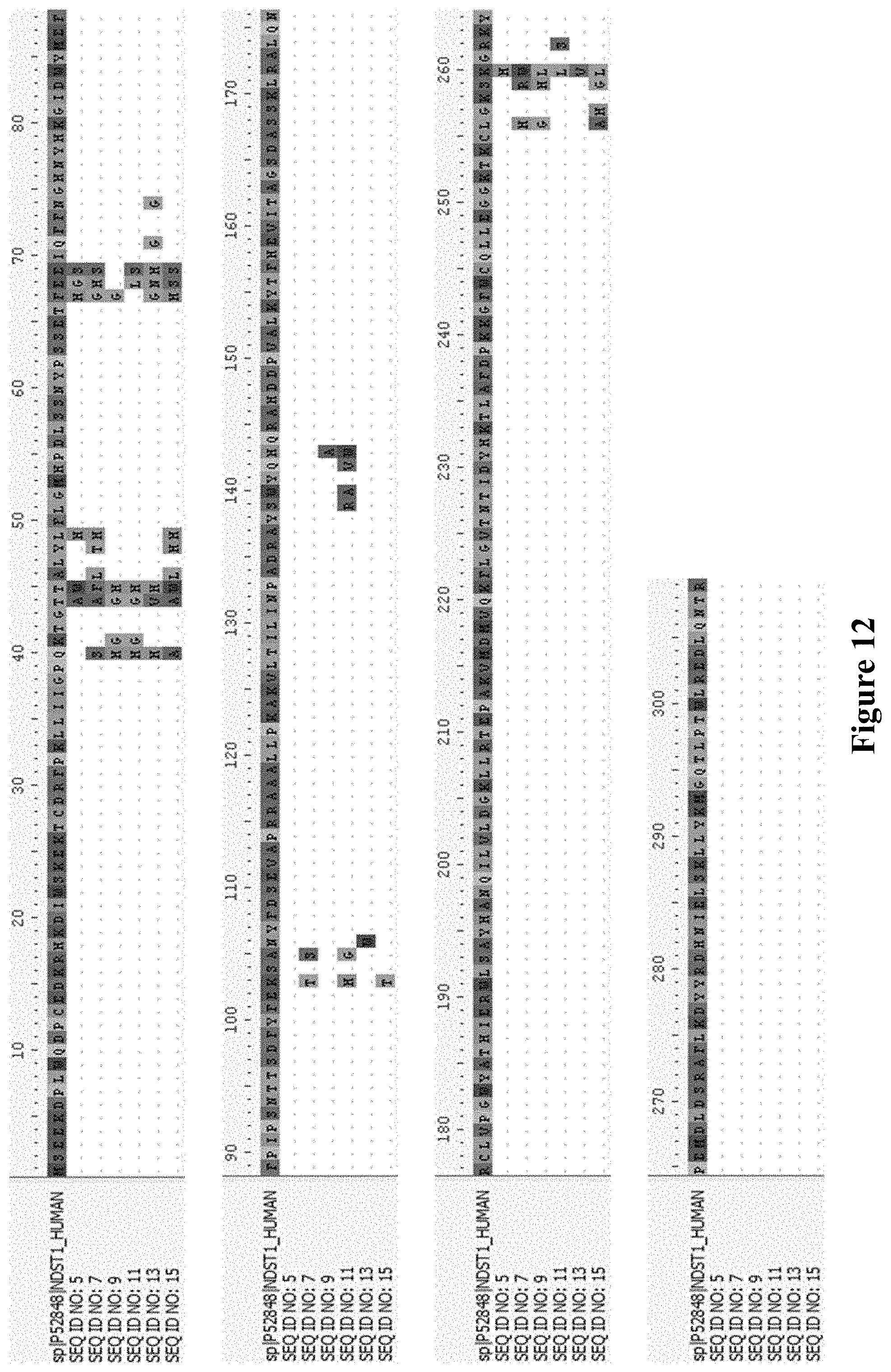 Patent US11773382 Figure 18 – Engineered aryl sulfate-dependent enzymes